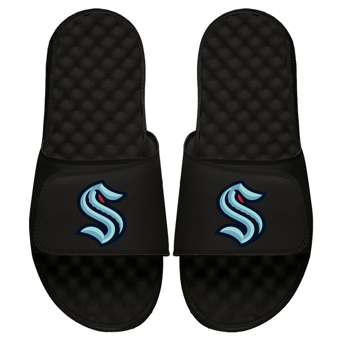 Kraken Primary Logo Slides 3