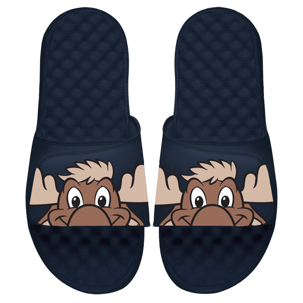 Seattle Mariners Mascot Slides 2