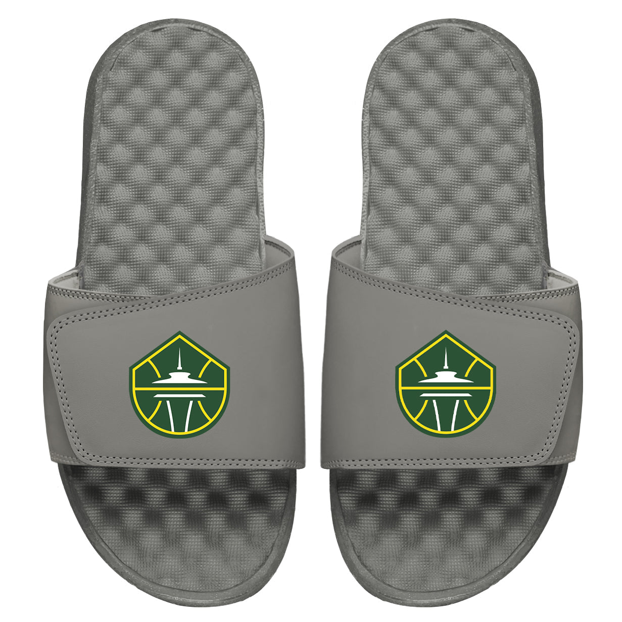 Seattle Storm Primary Slides
