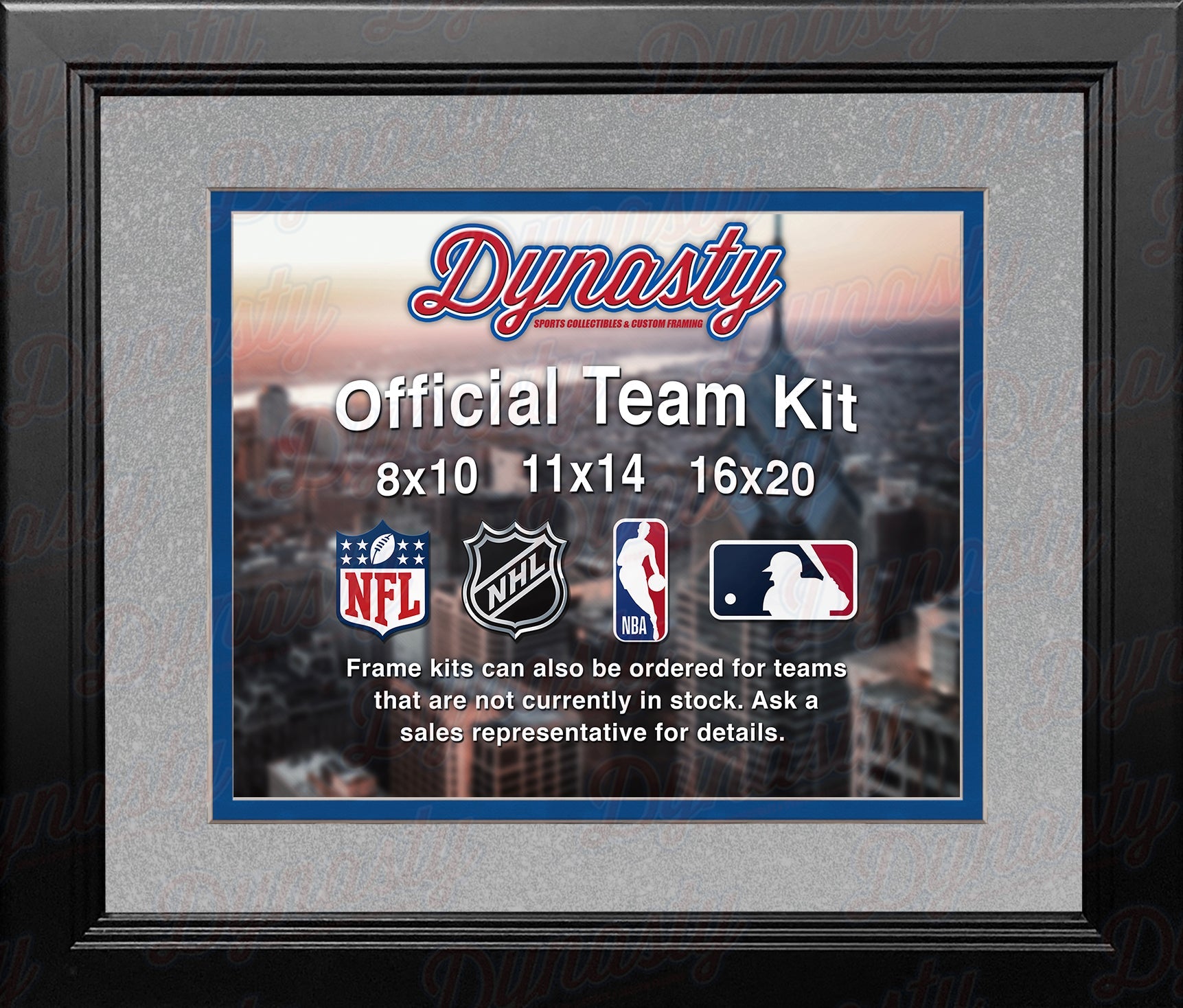 NBA Basketball Photo Picture Frame Kit - Orlando Magic (Silver Matting, Blue Trim) 1