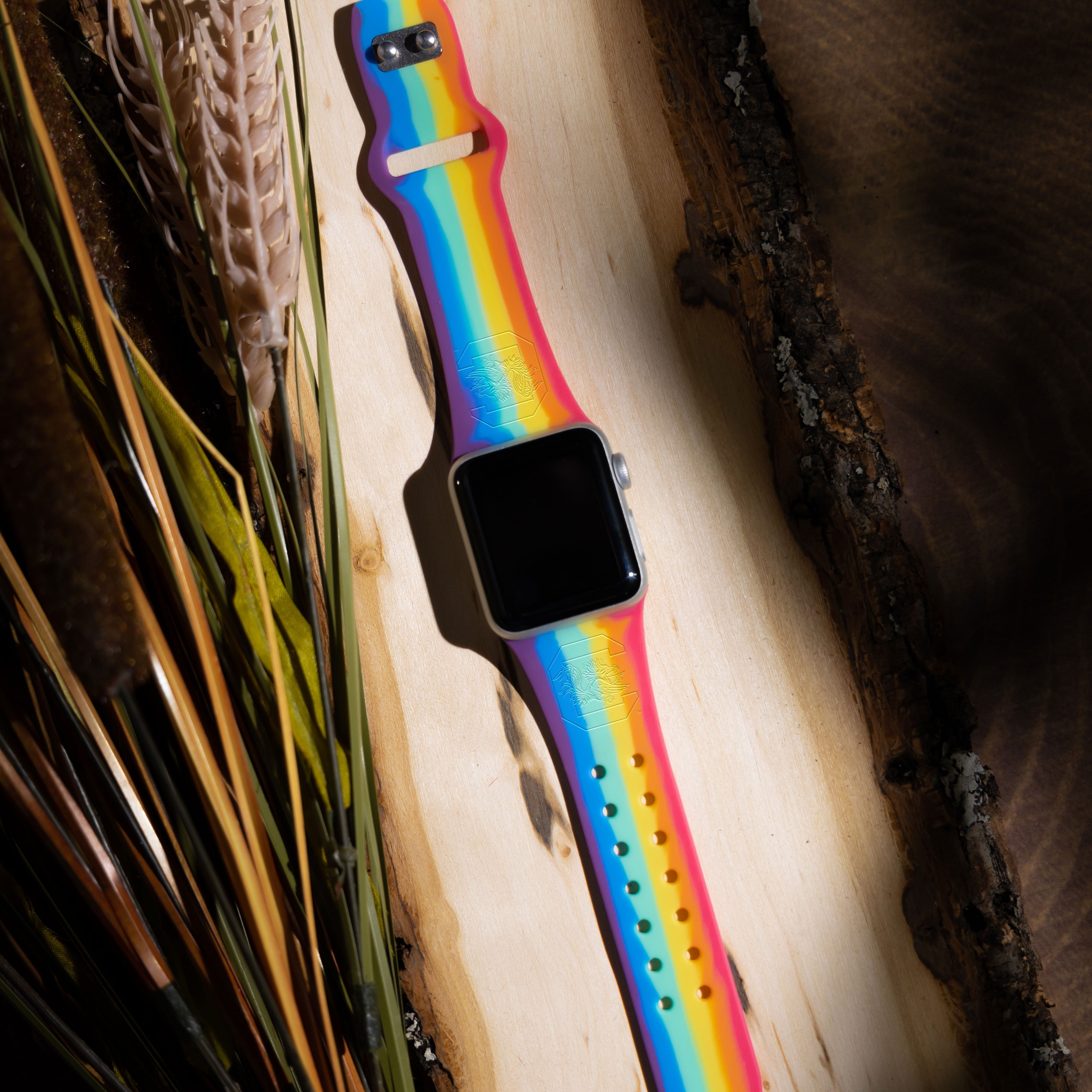 South Carolina Gamecocks Engraved Apple Watch Band 24