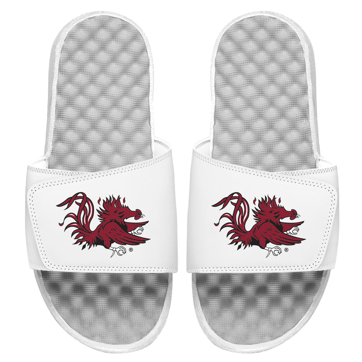 South Carolina Secondary Slides 2