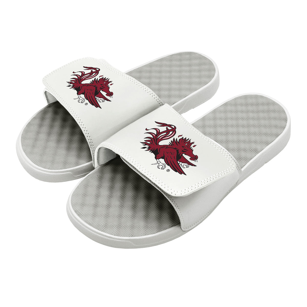 South Carolina Secondary Slides 1