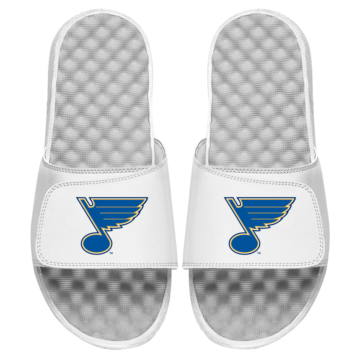St Louis Blues Primary Slides 4