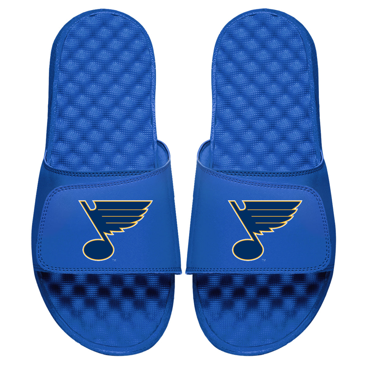 St Louis Blues Primary Slides 5