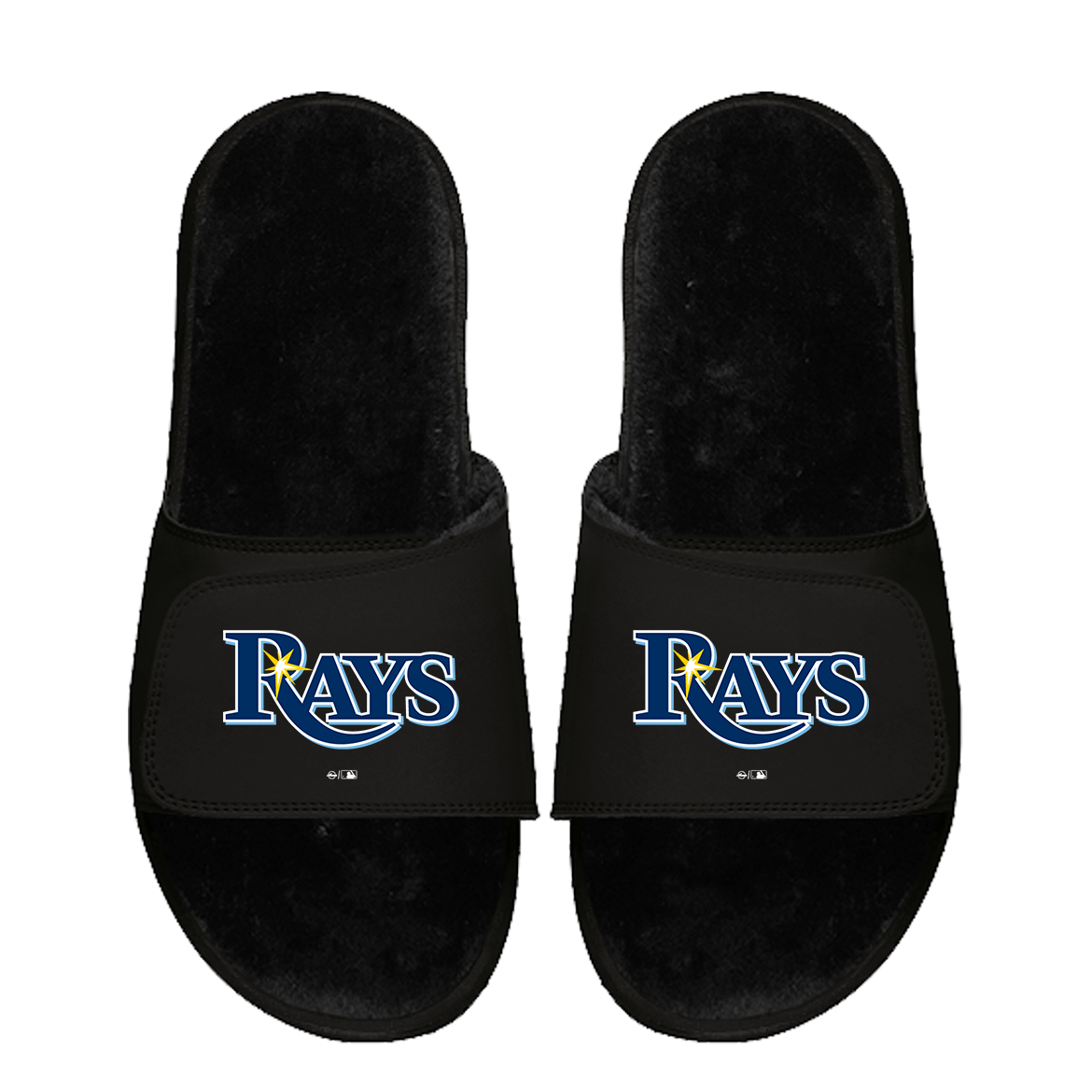 Tampa Bay Rays Primary Black Fur 1