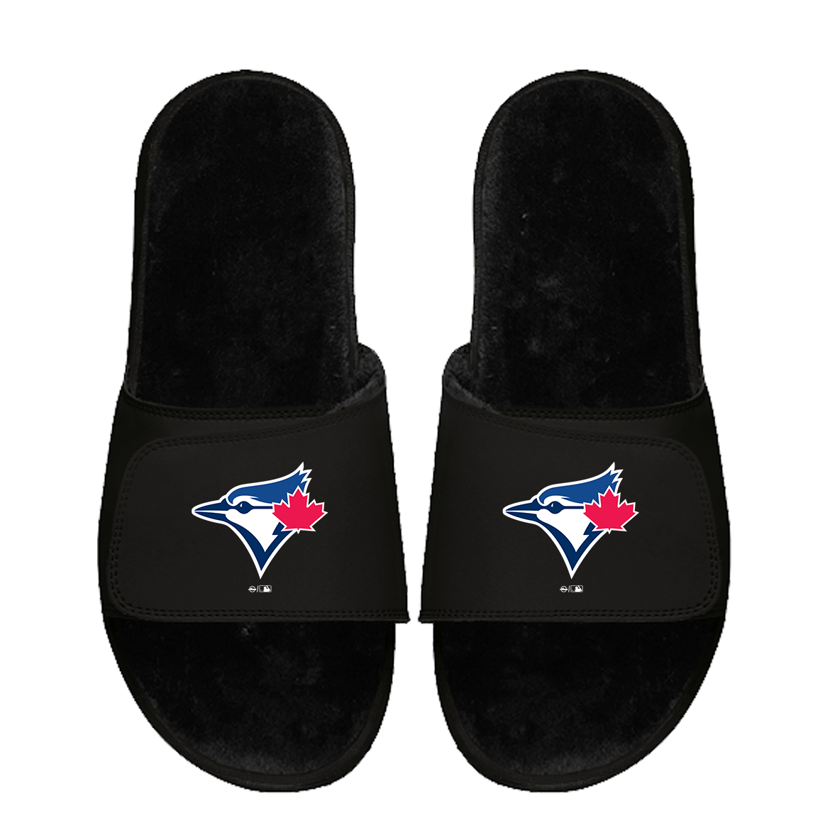 Toronto Blue Jays Primary Black Fur 1
