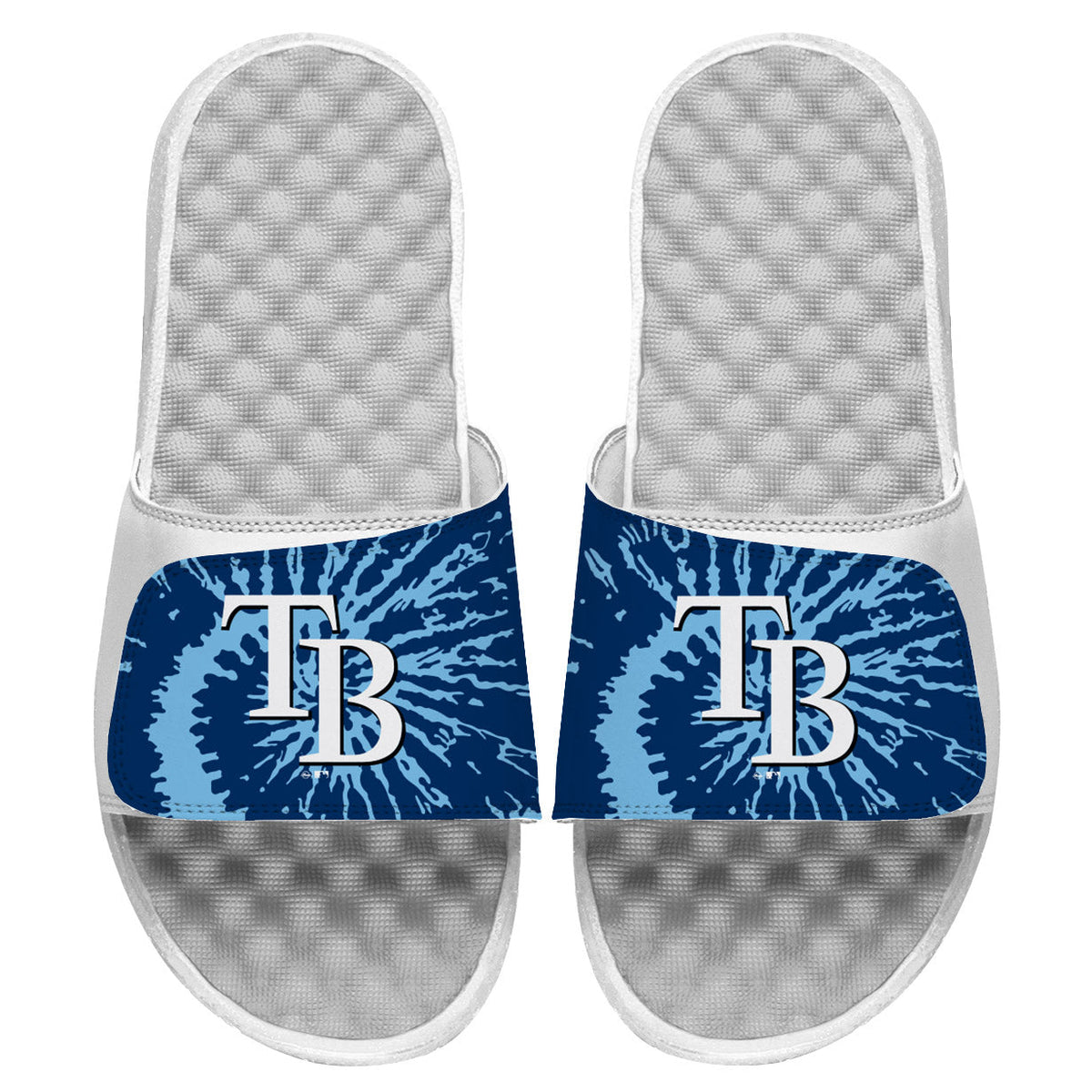 Tampa Bay Rays Slides 2