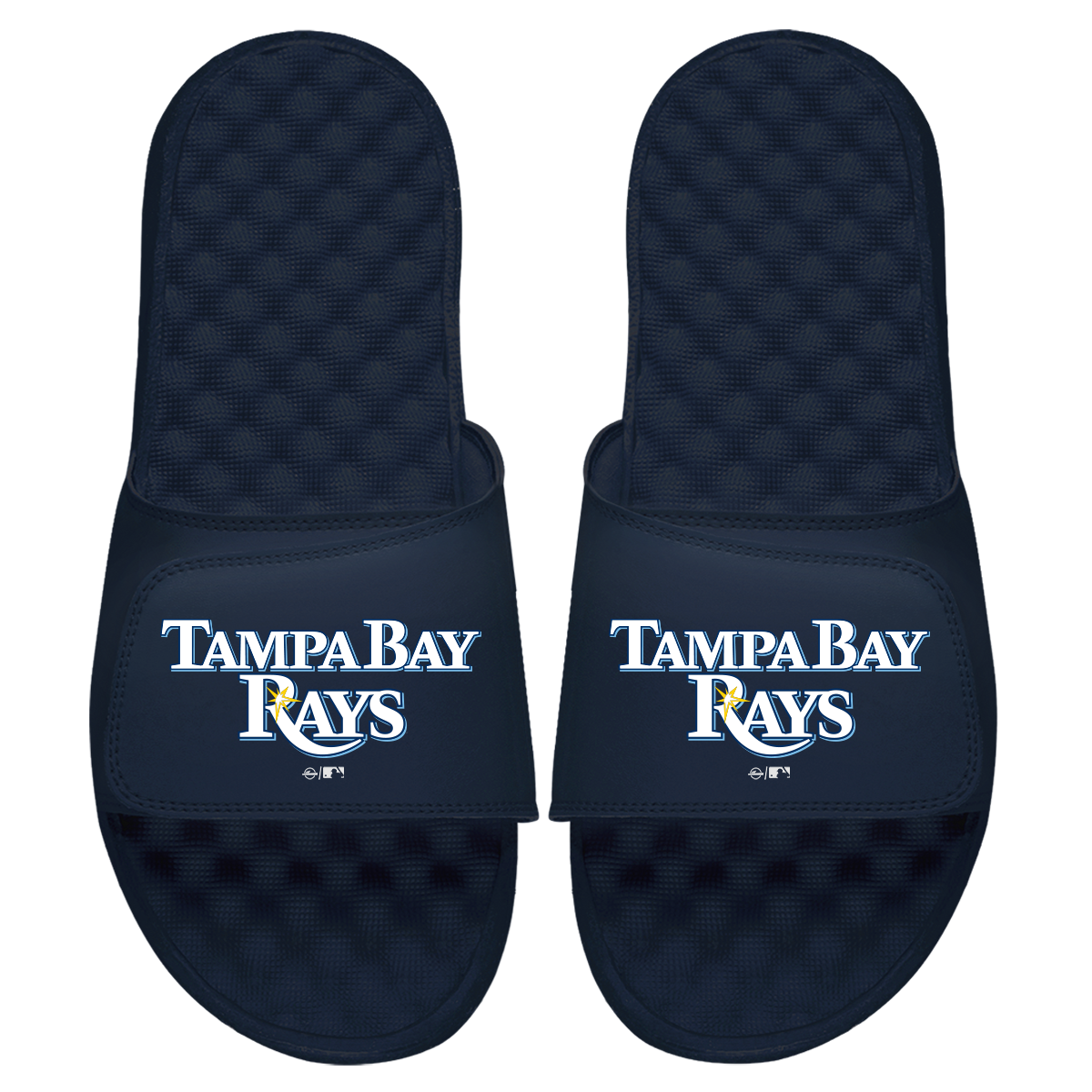 Tampa Bay Rays Wordmark Slides 2