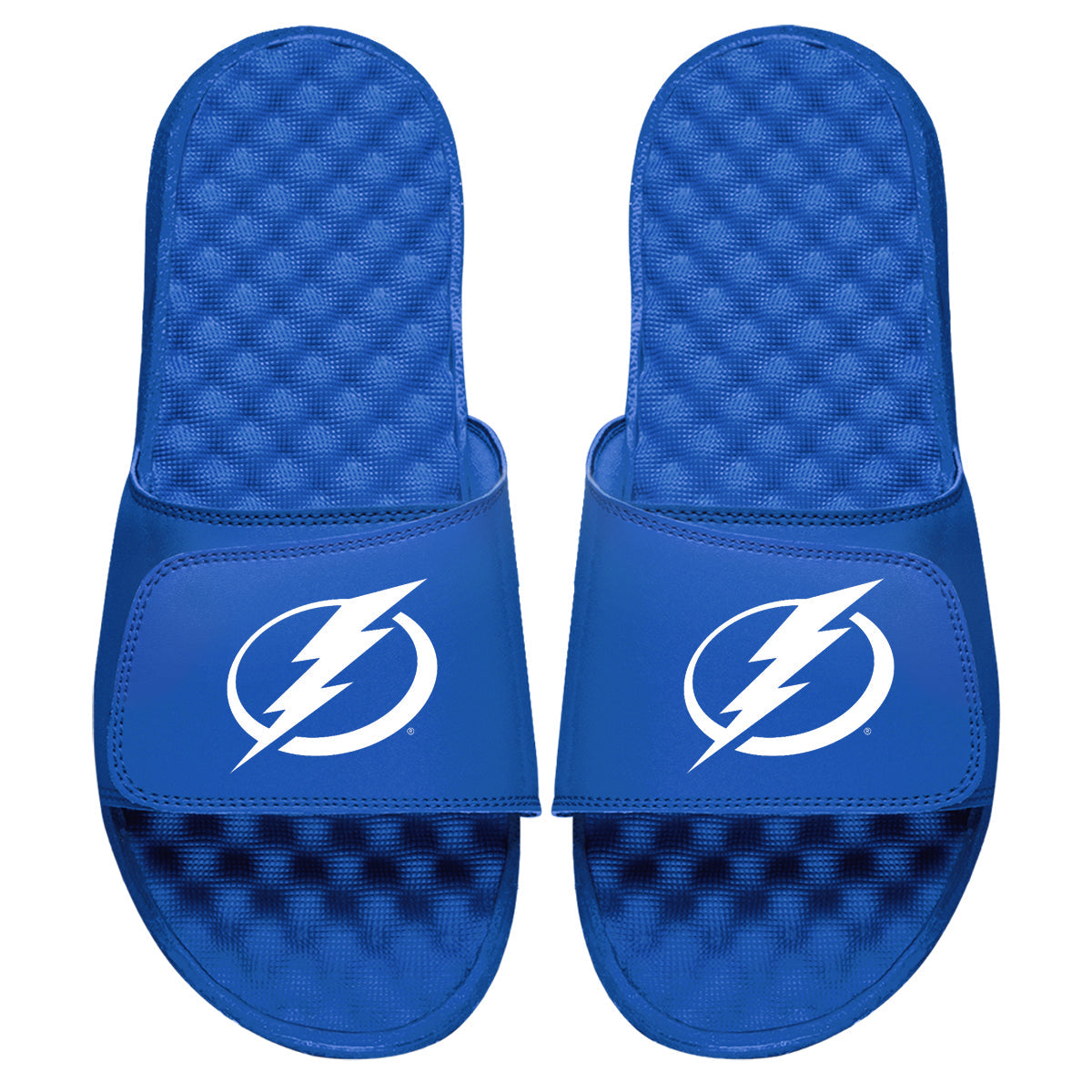 Tampa Bay Lightning Primary Slides 3