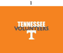 Tennessee Toddler Short Sleeve T Shirt Print | Two Feet Ahead