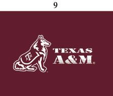 Texas A&M Infant Lap Shoulder Creeper Print