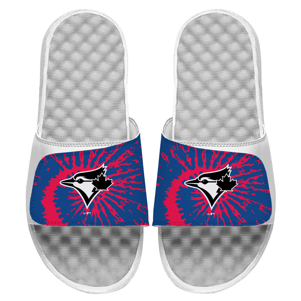Toronto Blue Jays Slides 2