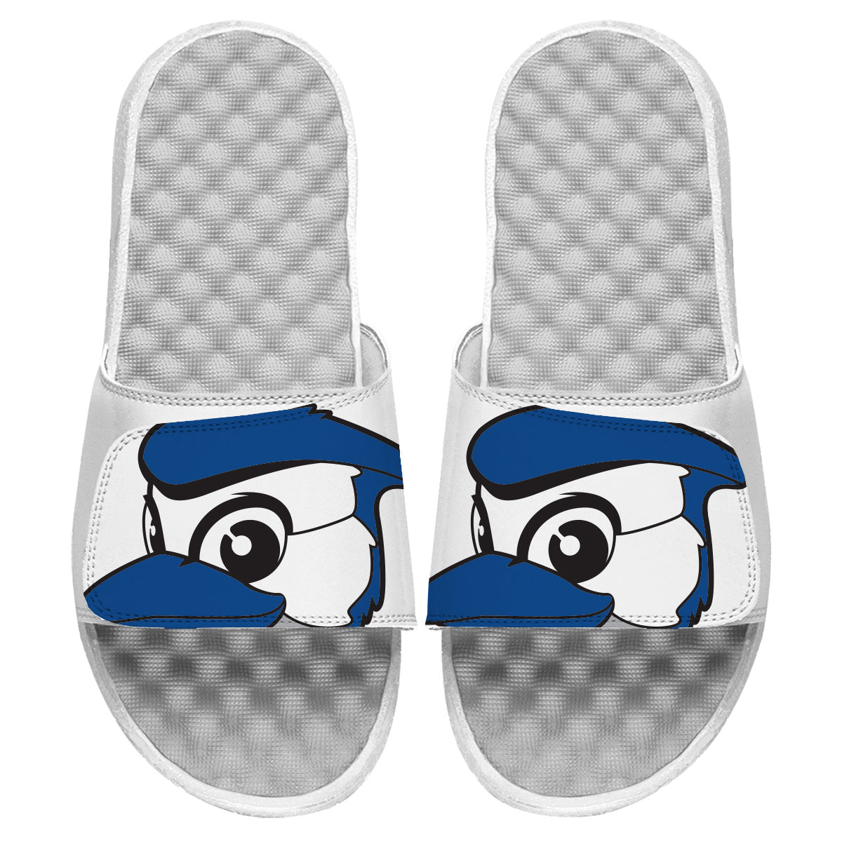 Toronto Blue Jays Mascot Slides 2