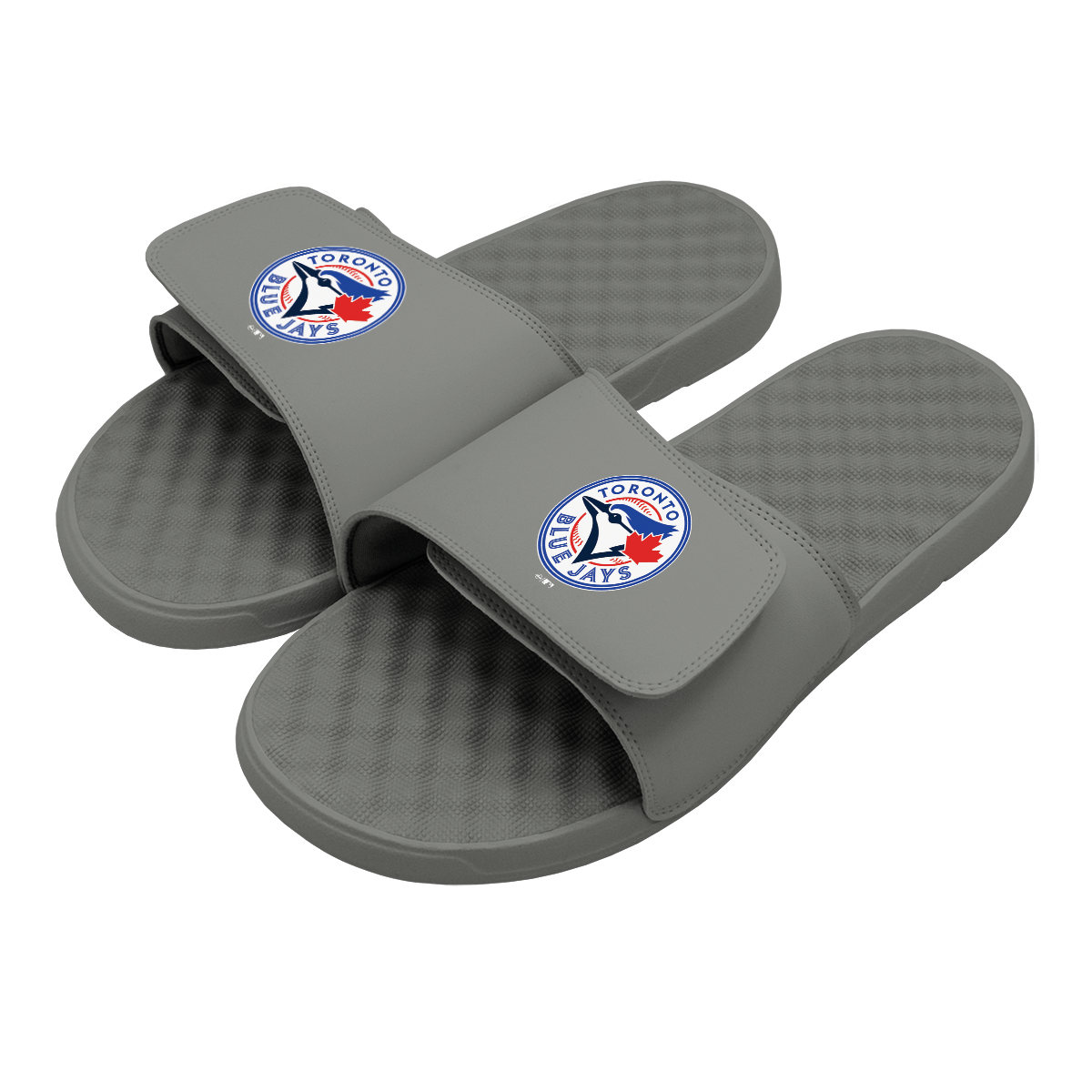 Toronto Blue Jays Primary Slides 2