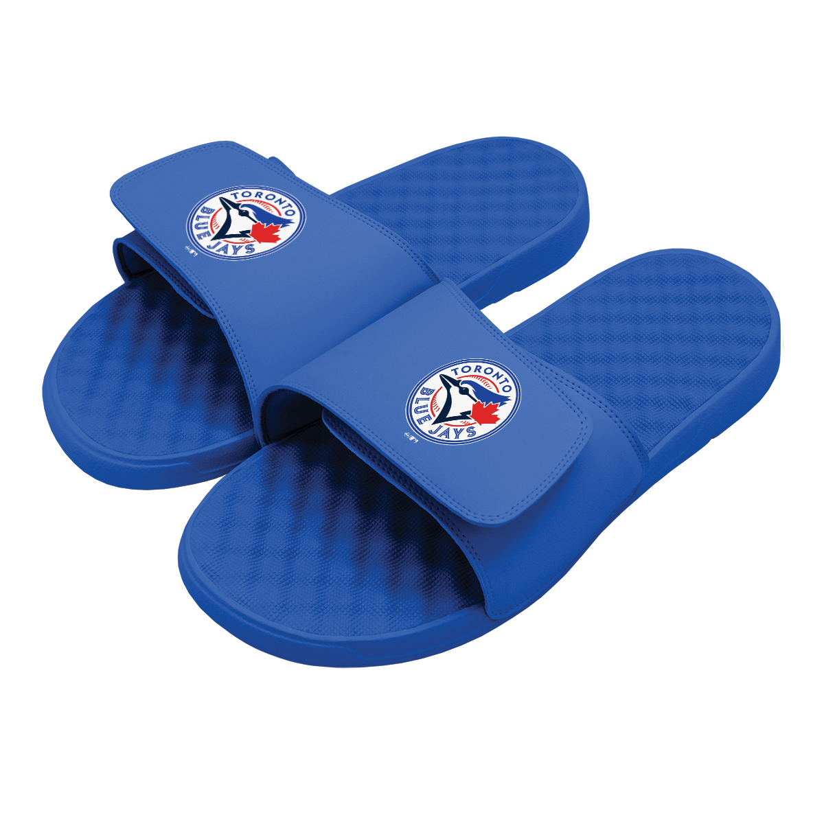 Toronto Blue Jays Primary Slides 1