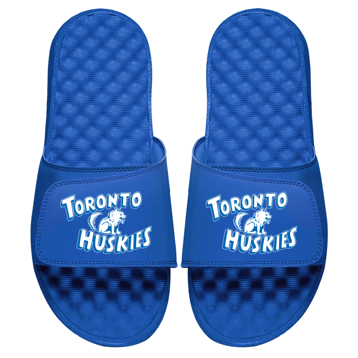 Toronto Huskies HWC Primary Slides 1