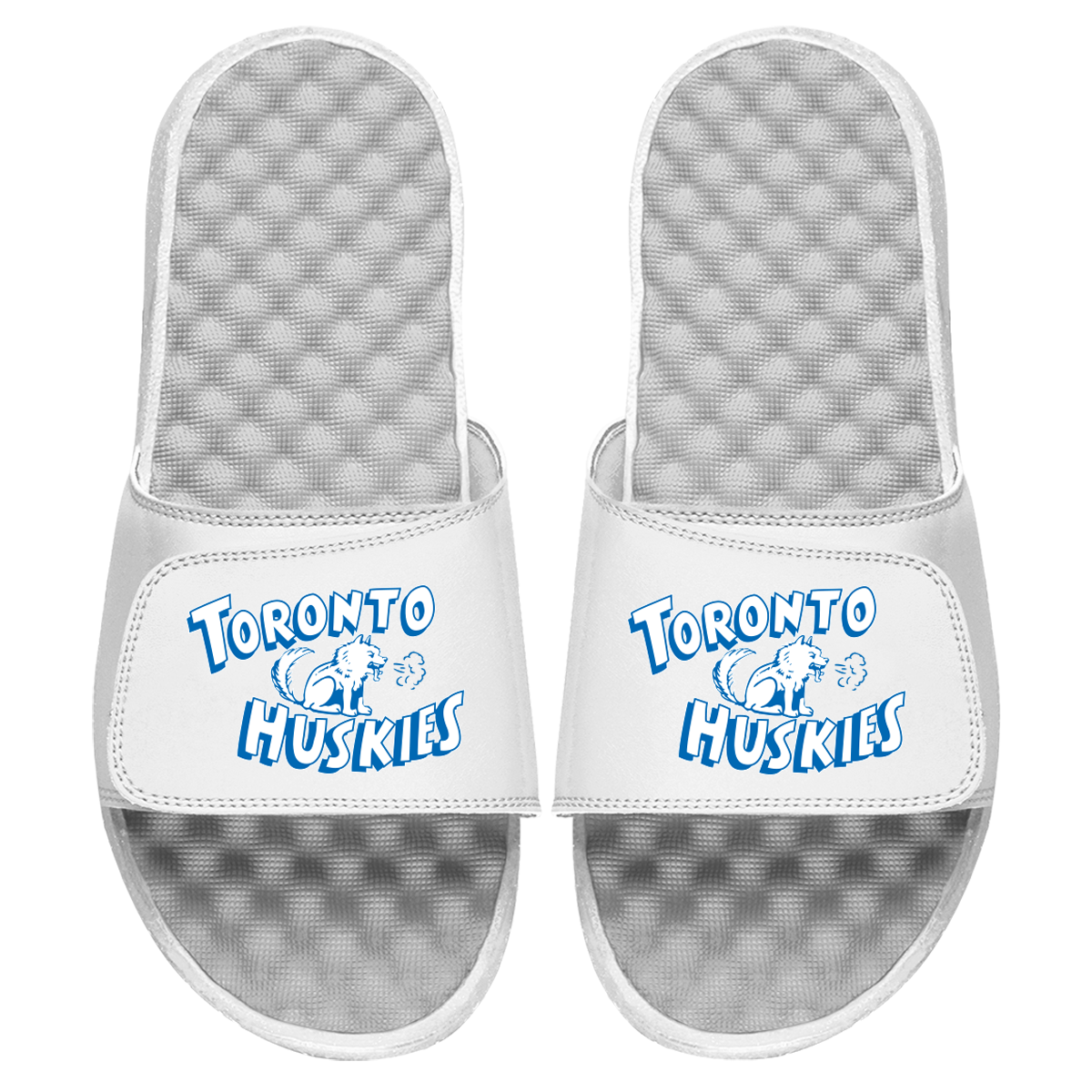 Toronto Huskies HWC Primary Slides 2