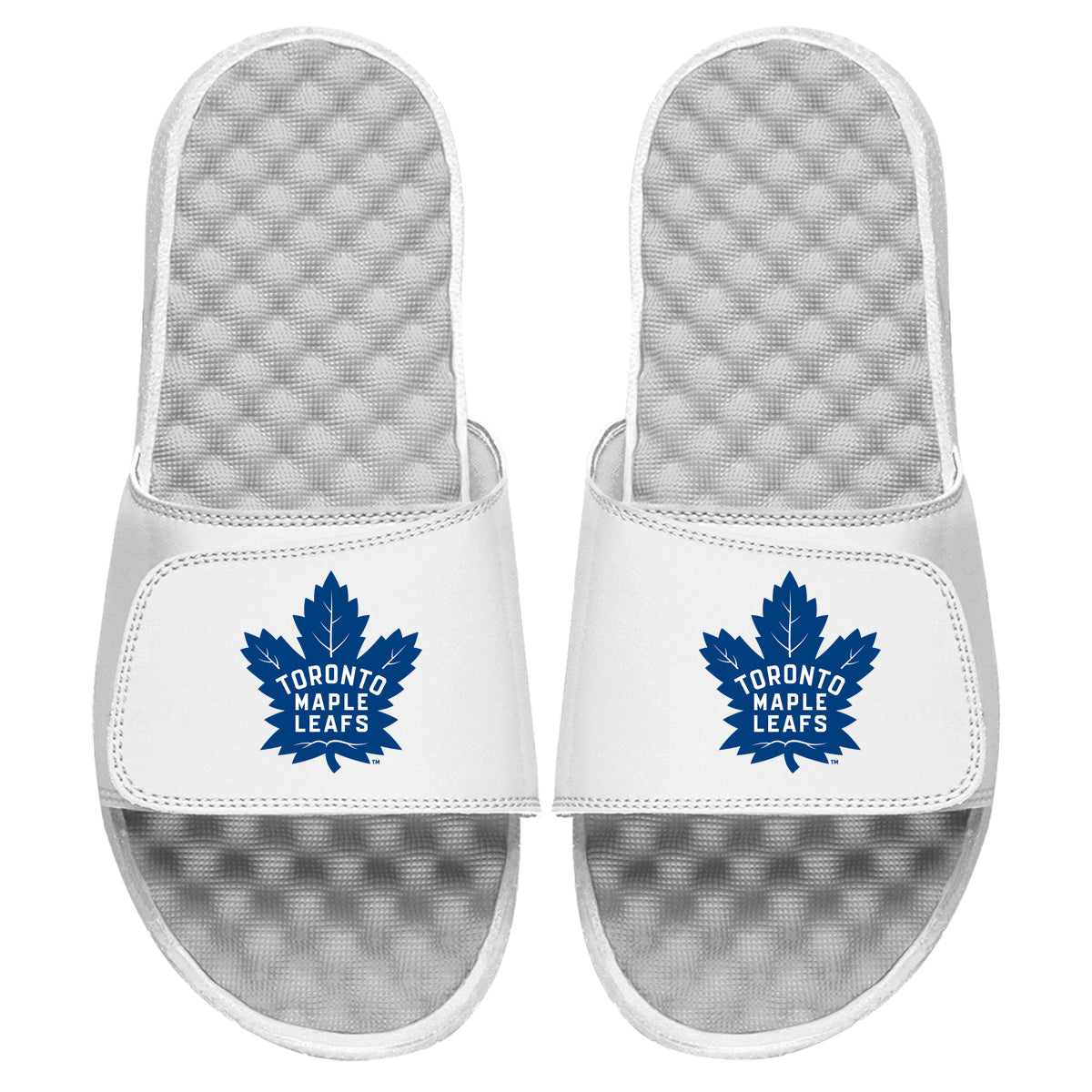 Toronto Maple Leafs Primary Slides 4