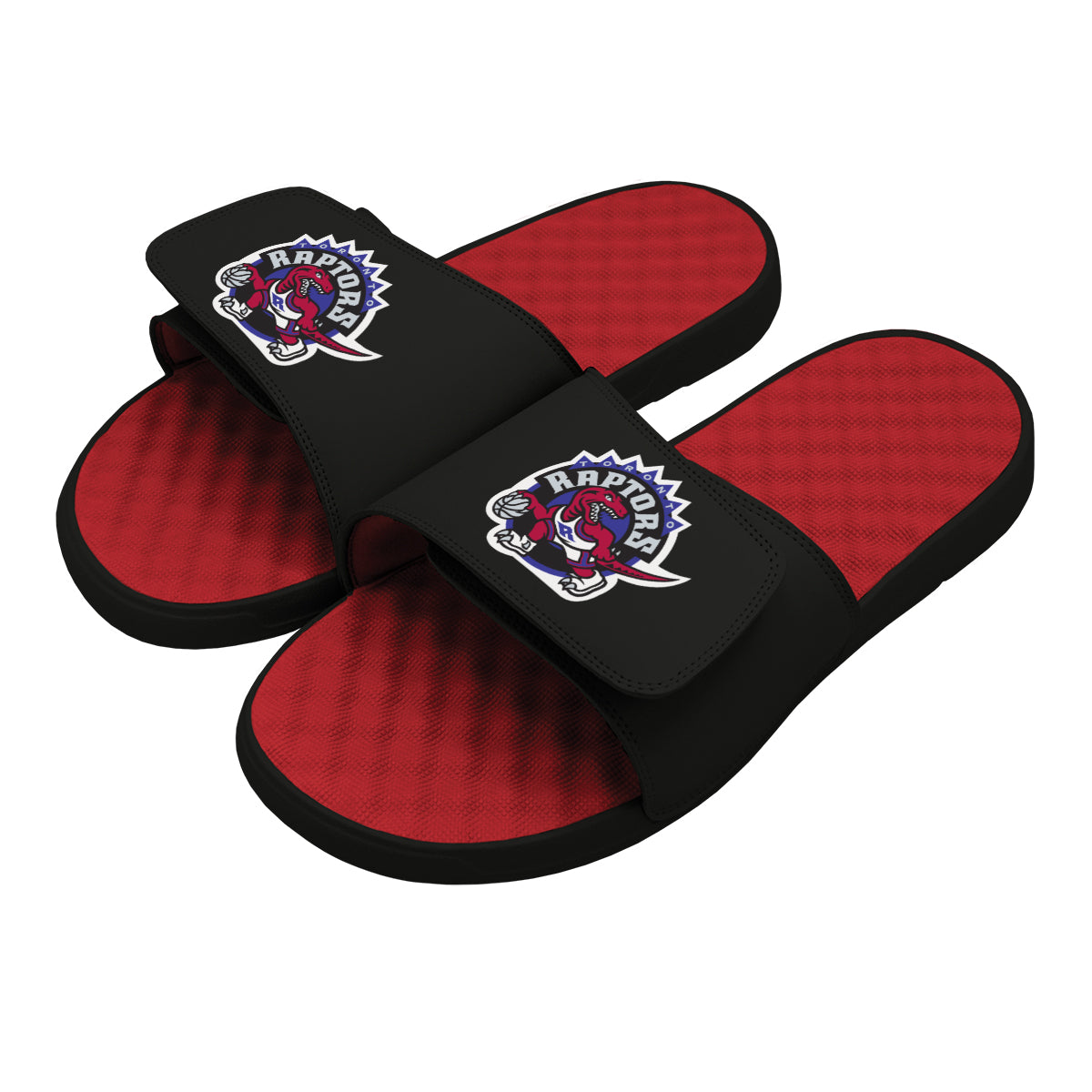 Raptors HWC Primary Logo Slides 2