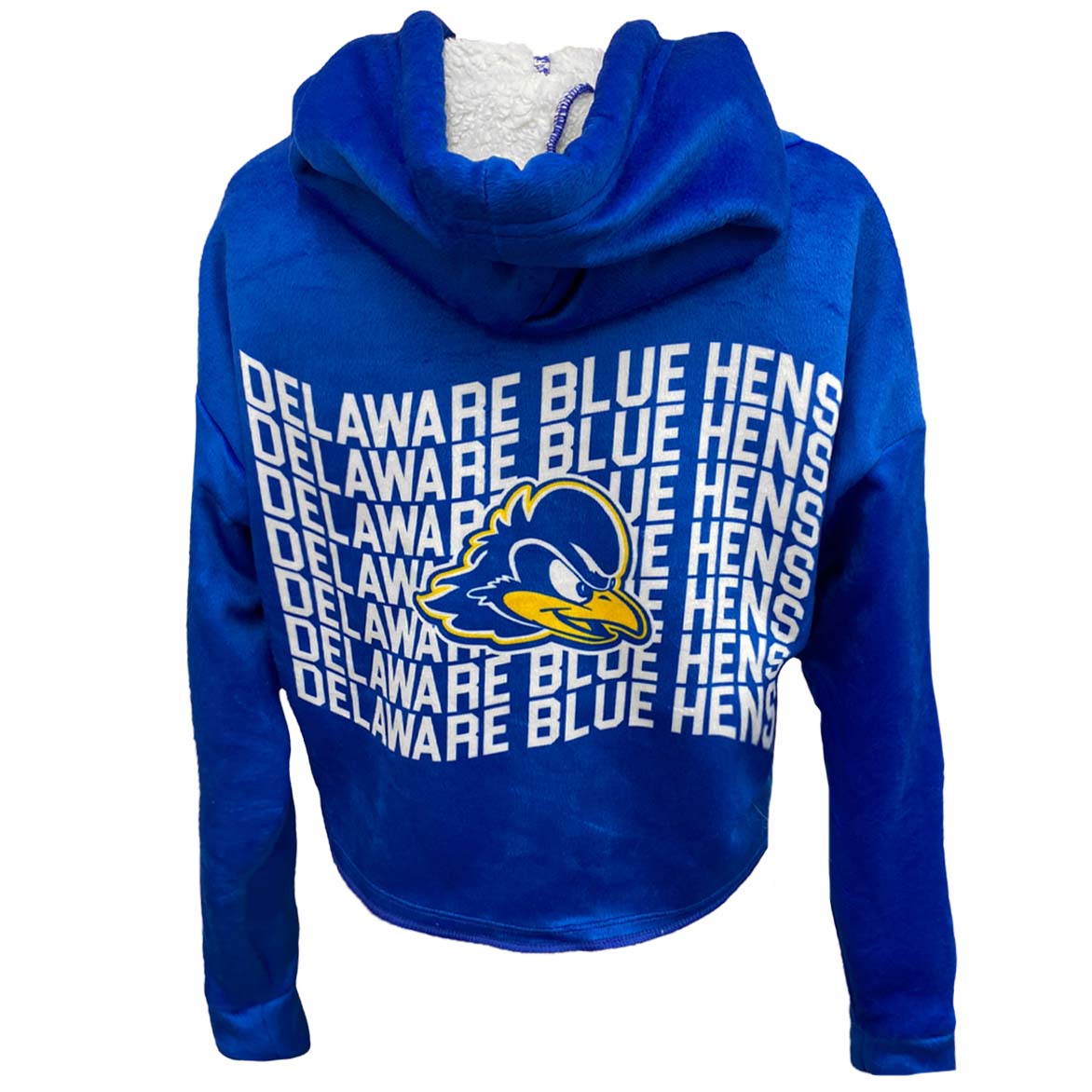 Delaware Varsity Furry Hoodie | lojobands