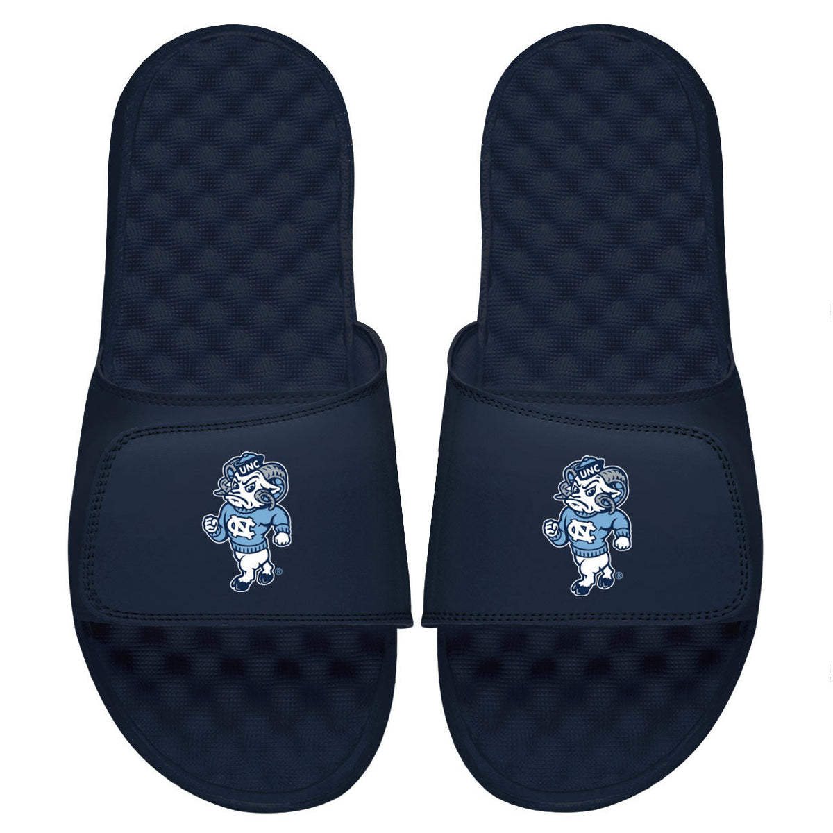 UNC Alternate Mascot Slides 4