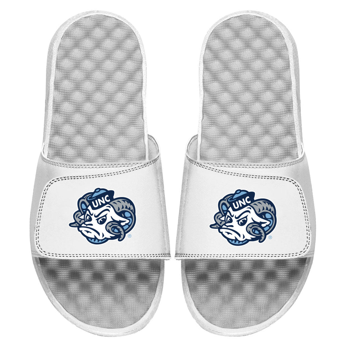 UNC Mascot Slides 3