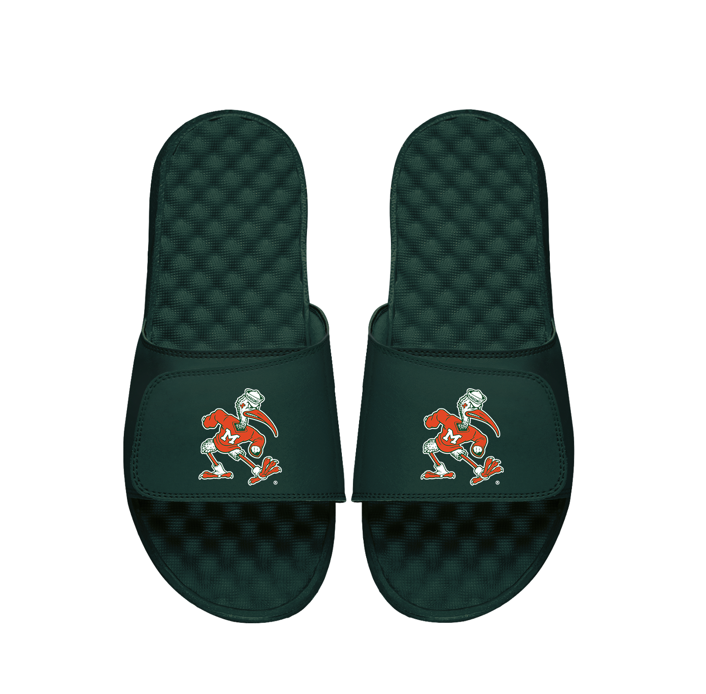 University of Miami Mascot Slides 1