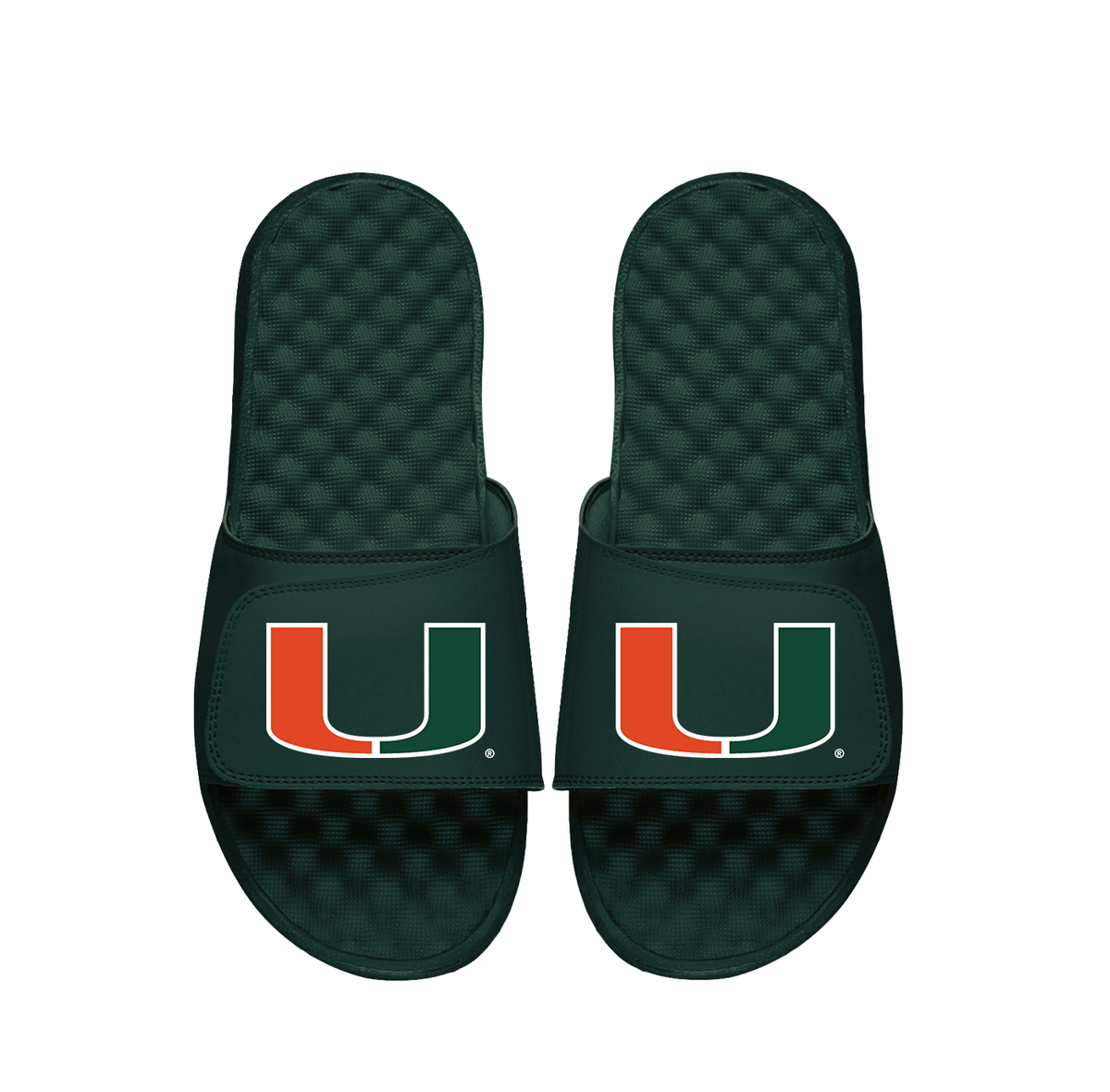 University of Miami Primary Slides 1
