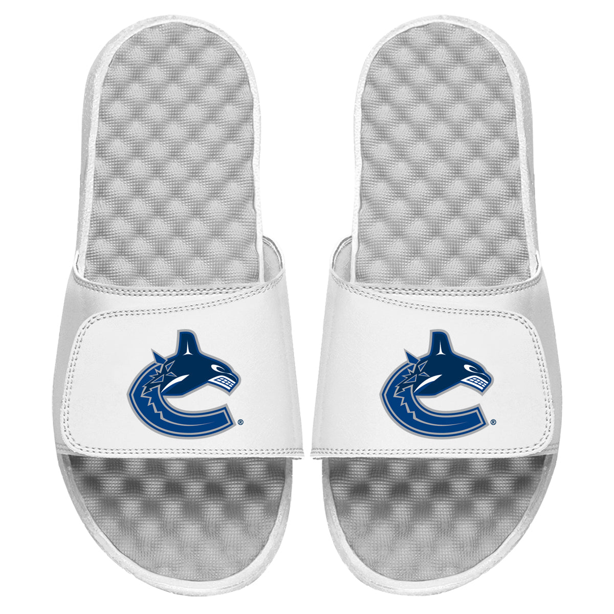 Vancouver Canucks Primary Slides 3