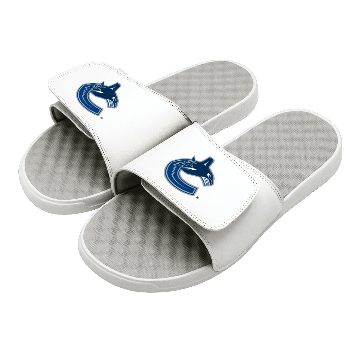 Vancouver Canucks Primary Slides