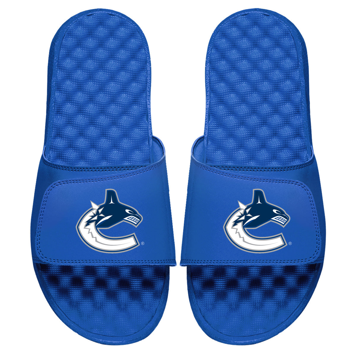 Vancouver Canucks Primary Slides 4