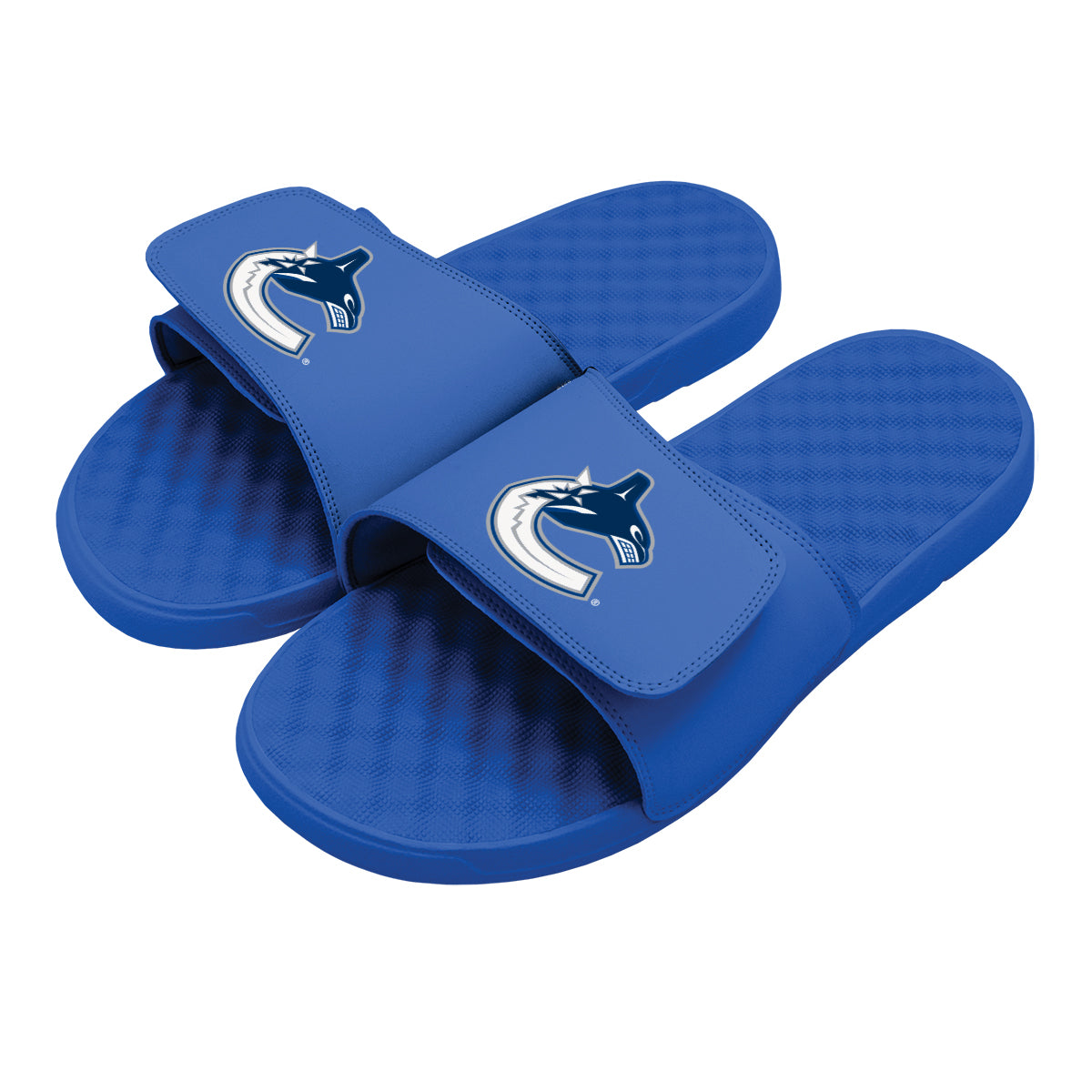 Vancouver Canucks Primary Slides
