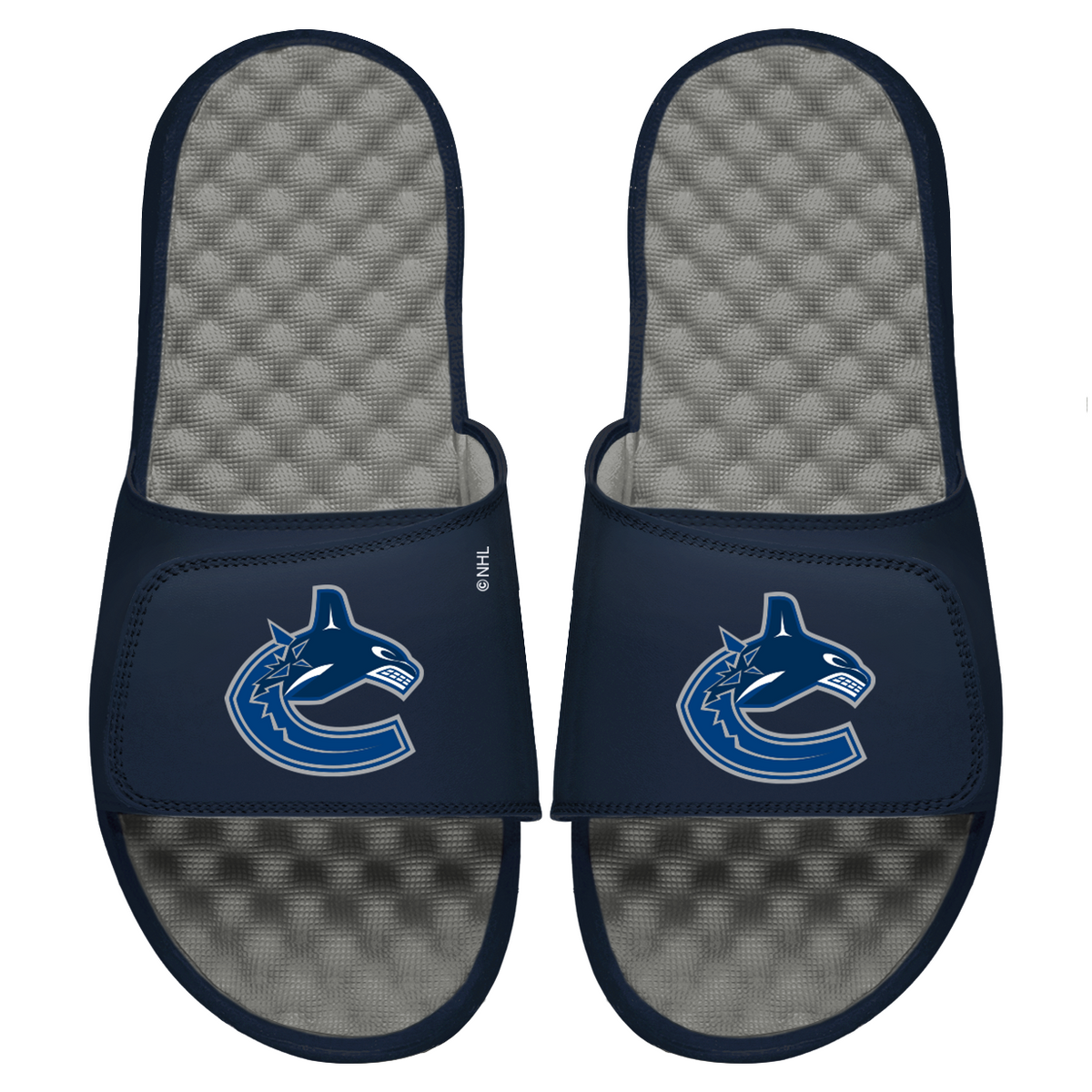 Canucks Primary Logo Slides 2