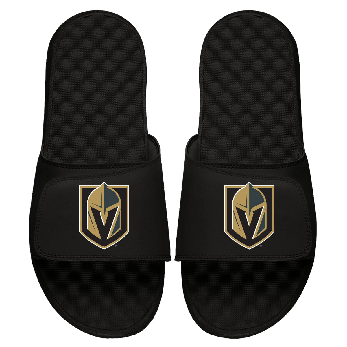 Vegas Golden Knights Primary Slides 3
