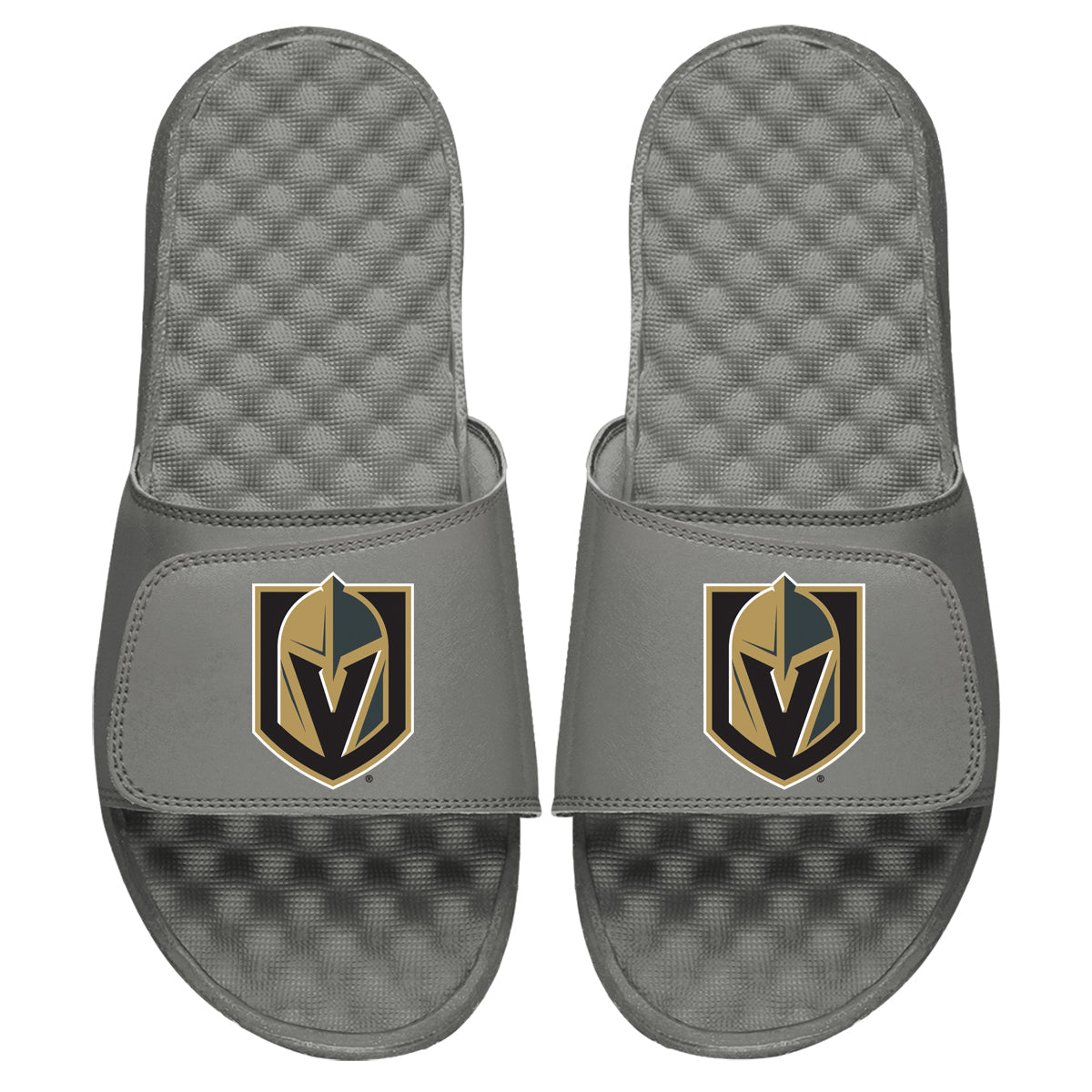 Vegas Golden Knights Primary Slides 4