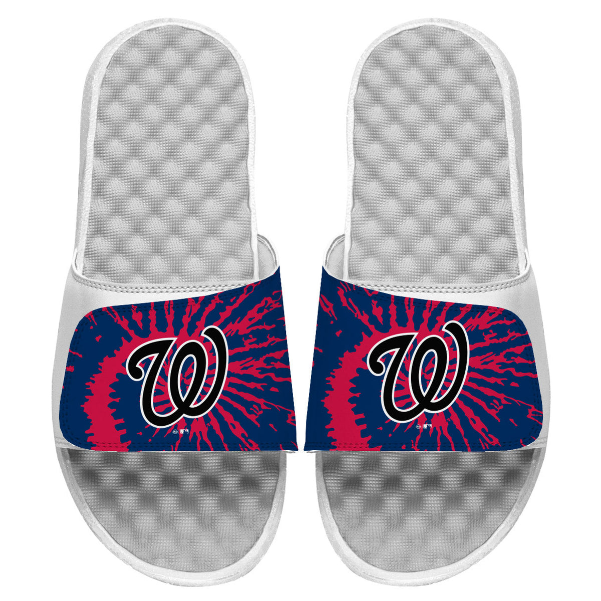 Washington Nationals Slides 2