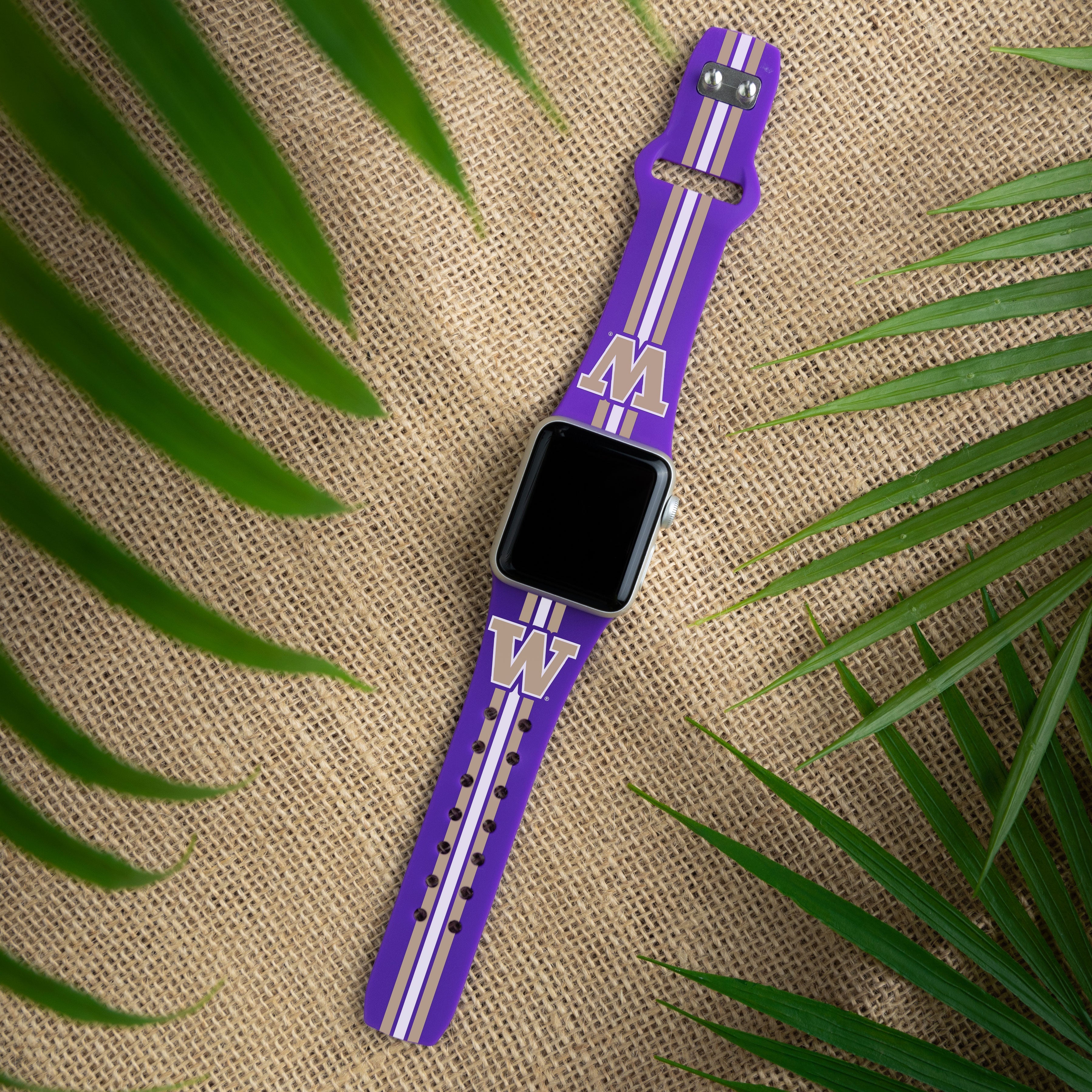 Washington Huskies HD Apple Watch Band 2