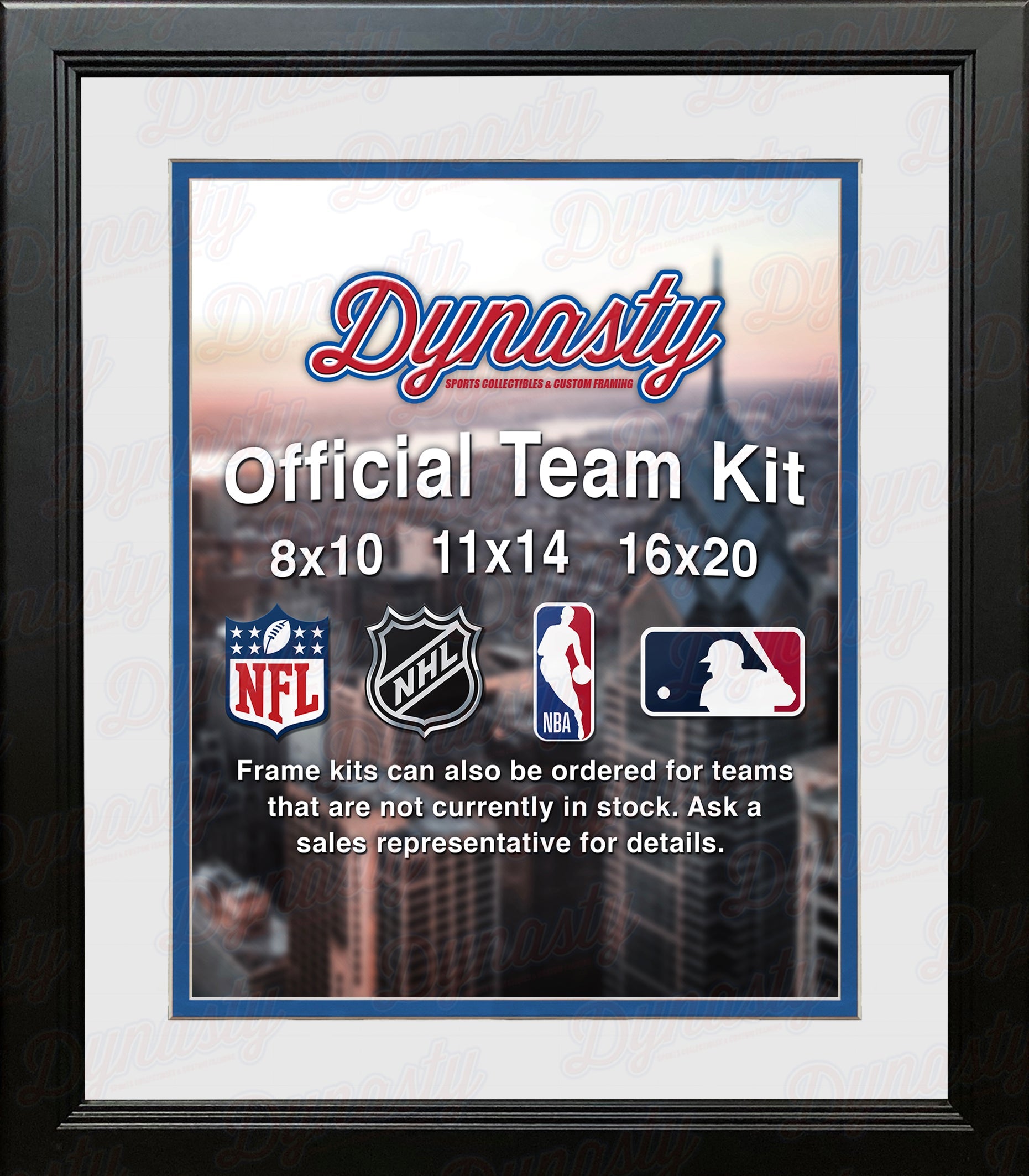 MLB Baseball Photo Picture Frame Kit - Toronto Blue Jays (White Matting, Blue Trim) 2