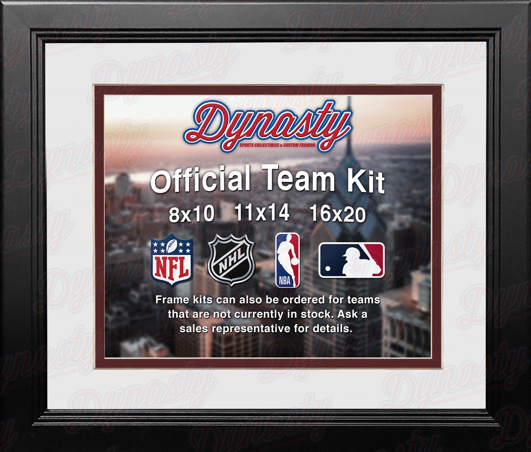 MLB Baseball Photo Picture Frame Kit - Arizona Diamondbacks (White Matting, Brick Red Trim)