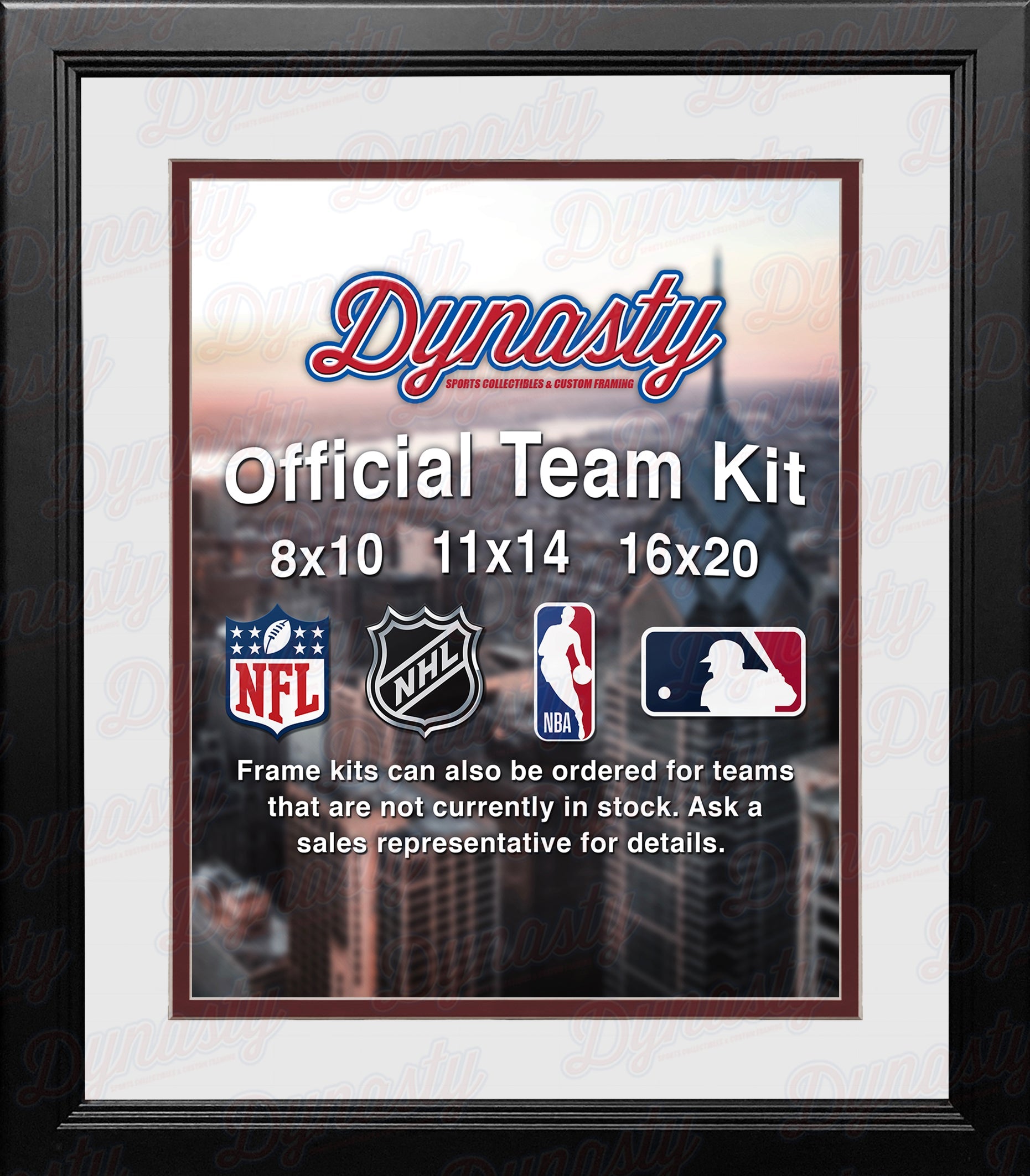 MLB Baseball Photo Picture Frame Kit - Arizona Diamondbacks (White Matting, Brick Red Trim)