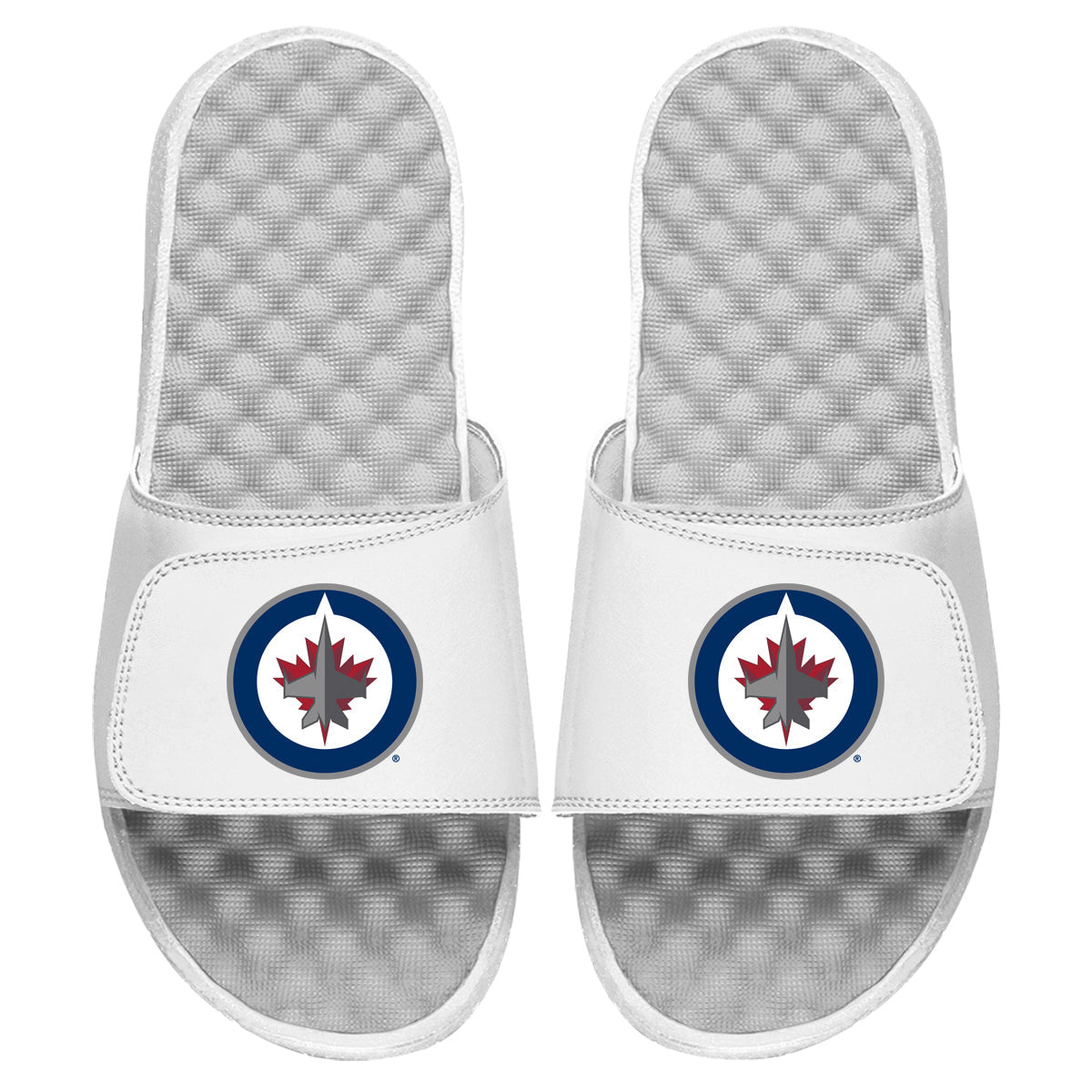 Winnipeg Jets Primary Slides 3