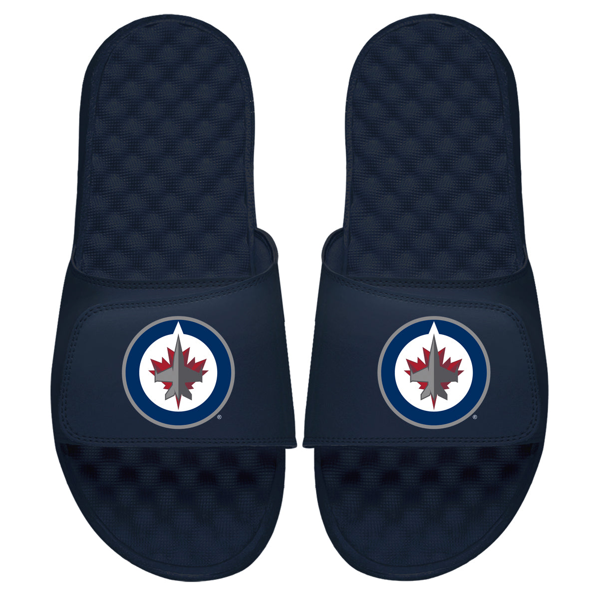 Winnipeg Jets Primary Slides 4