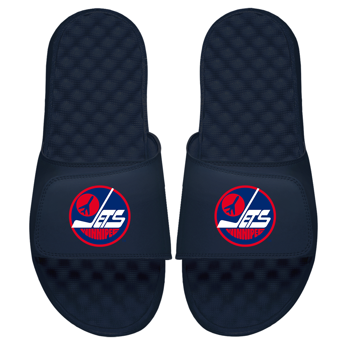 Winnipeg Jets Vintage Logo Slides 2