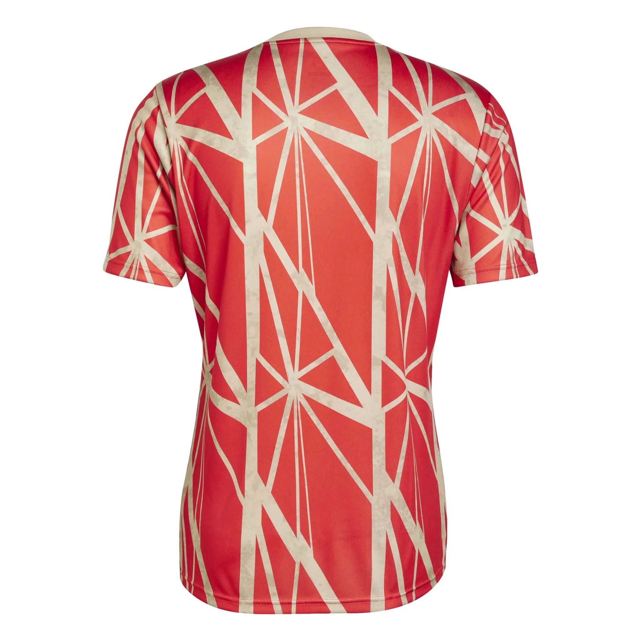 adidas 2024-25 Bayern Munich Men's Pre-Match Jerseys 2