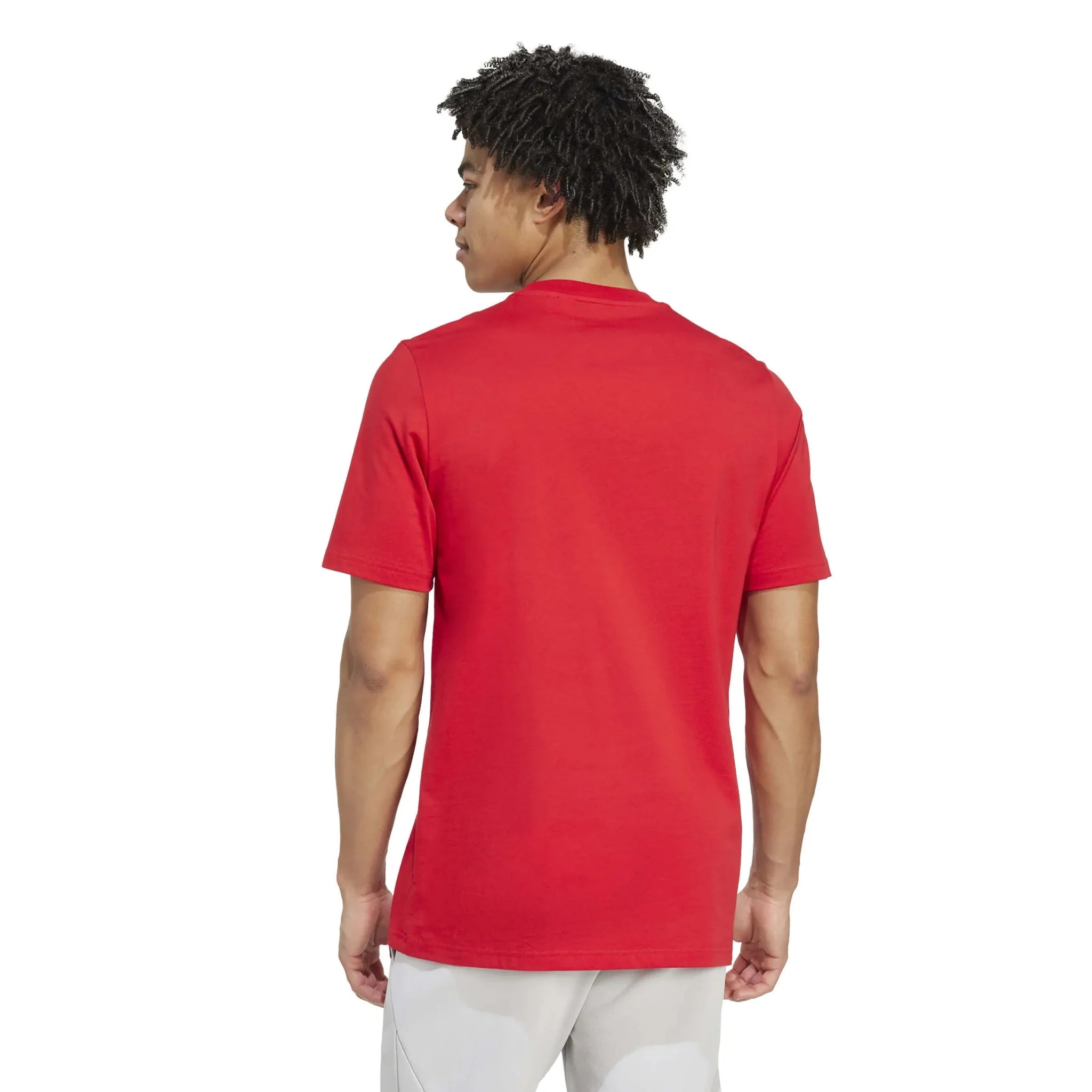 adidas 2025-26 Arsenal Men's Seasonal Graphic Tee 4