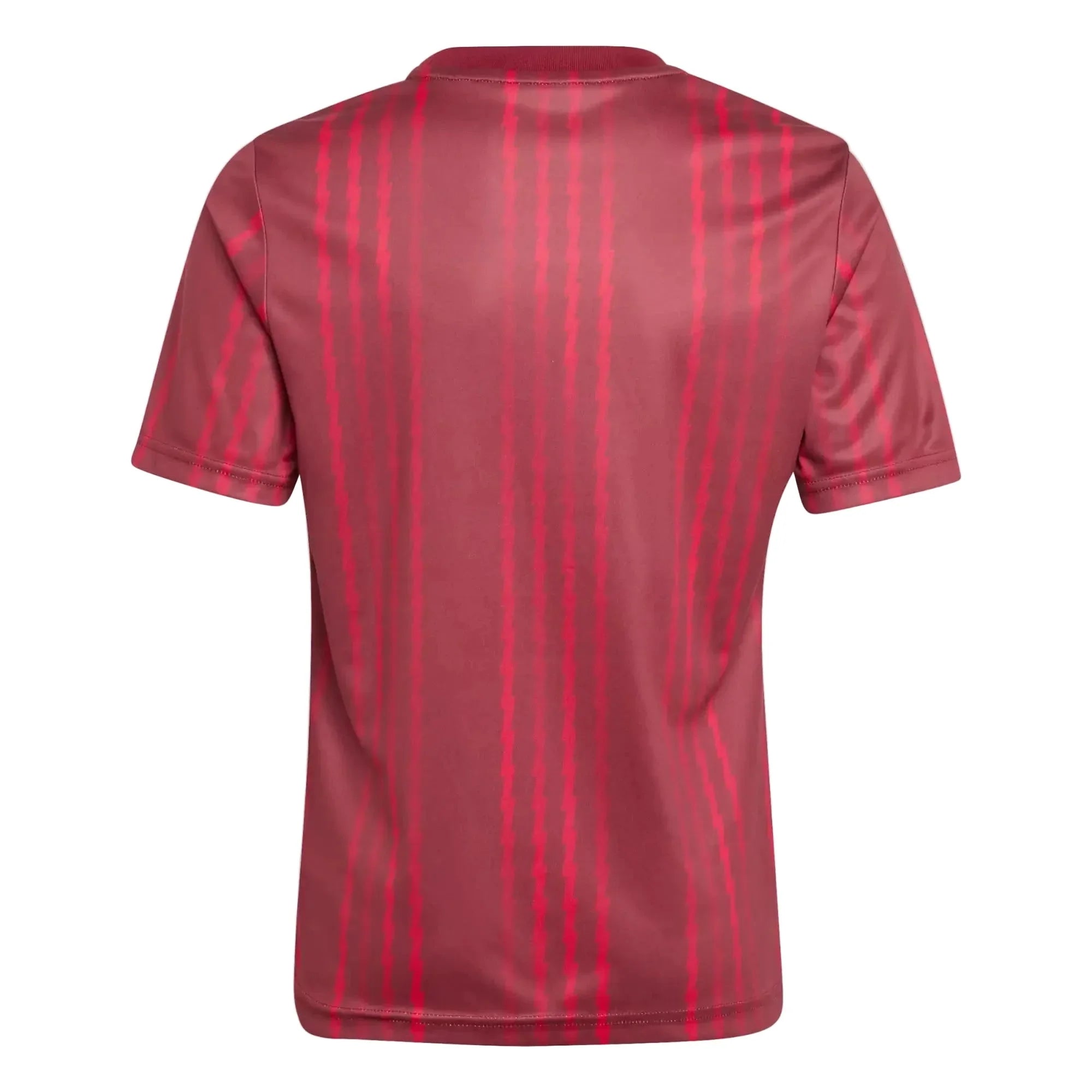 adidas 2025-26 Arsenal Youth Pre-Match Soccer Jersey 2