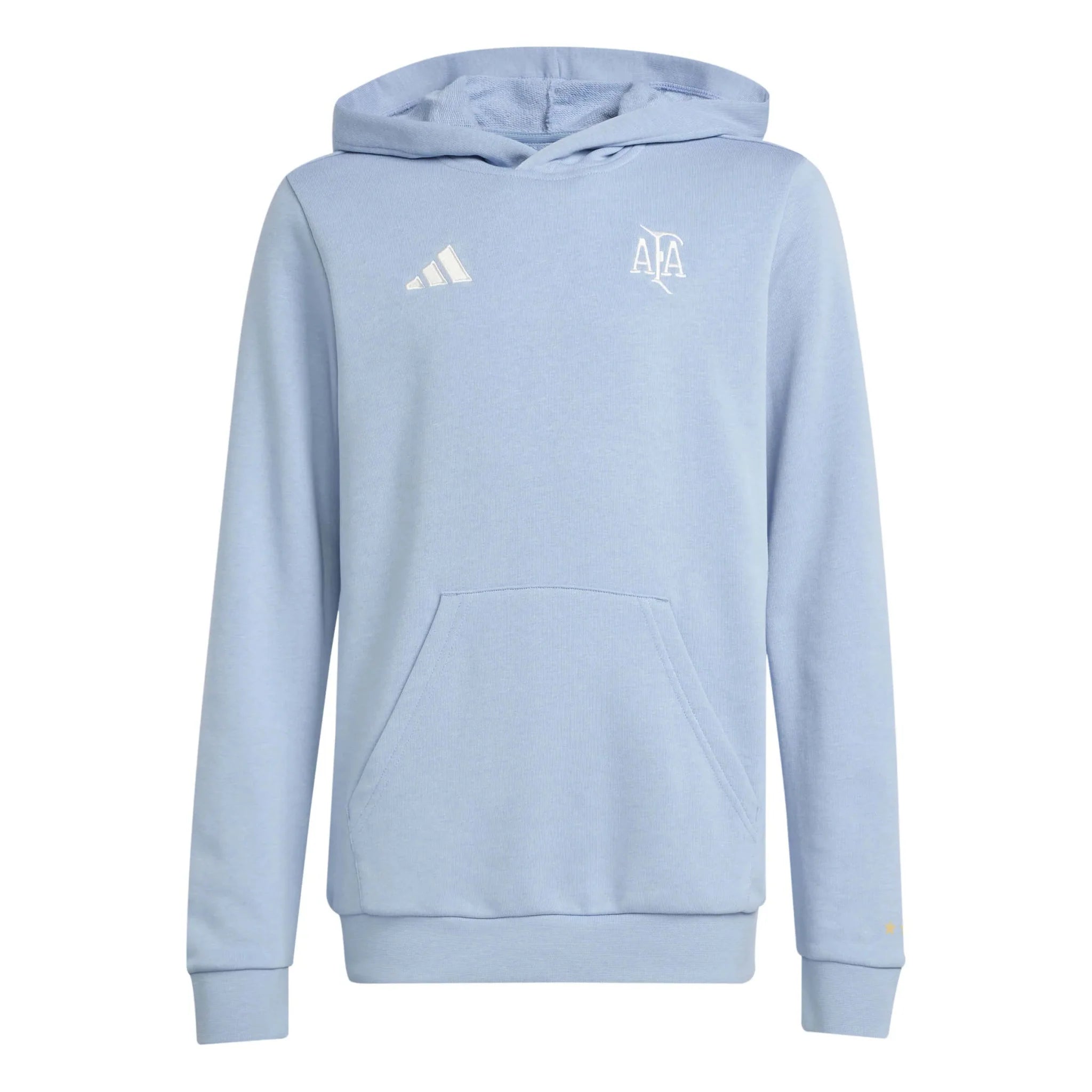 adidas 2025 Argentina Youth Anniversary DNA Hoodie 1