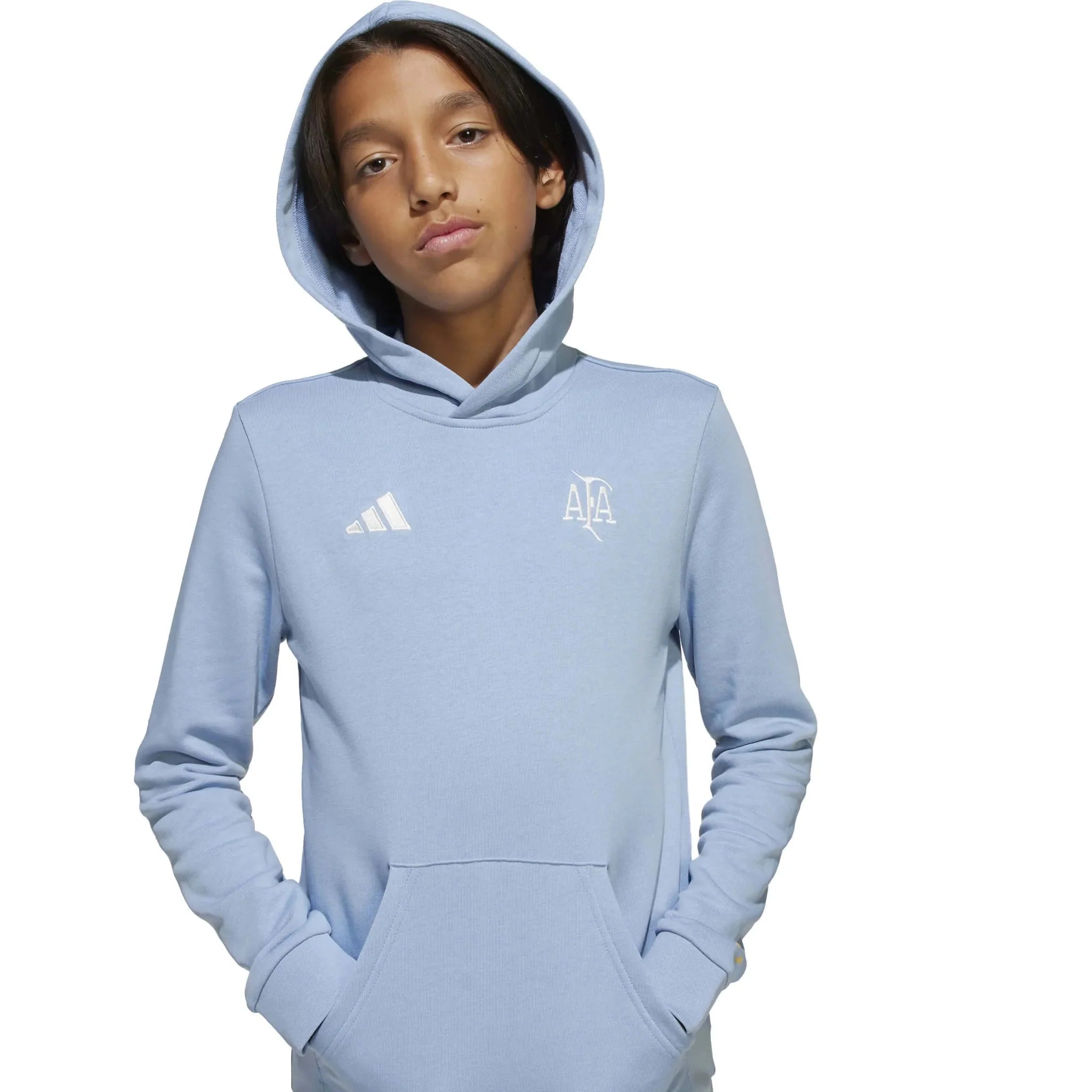 adidas 2025 Argentina Youth Anniversary DNA Hoodie 6
