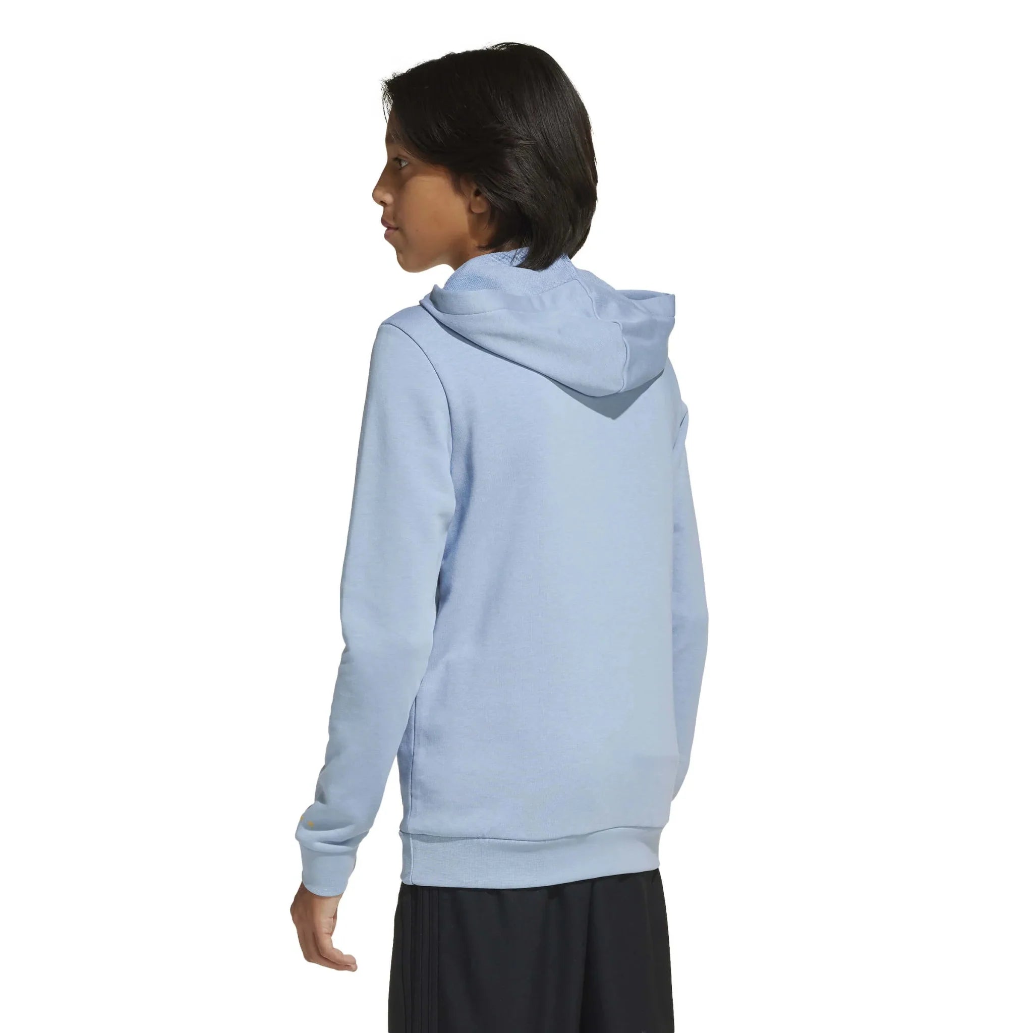 adidas 2025 Argentina Youth Anniversary DNA Hoodie 3